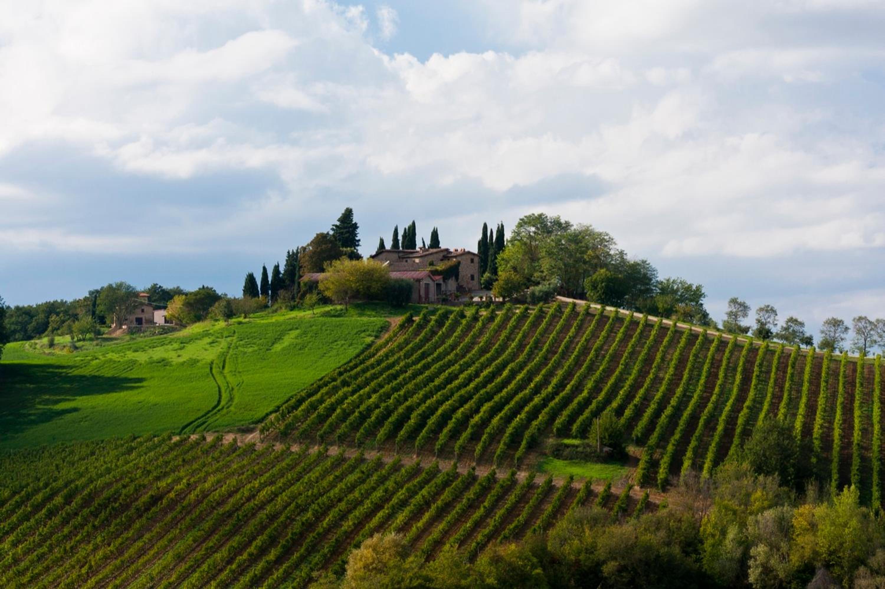 Agriturismo Casale Dello Sparviero