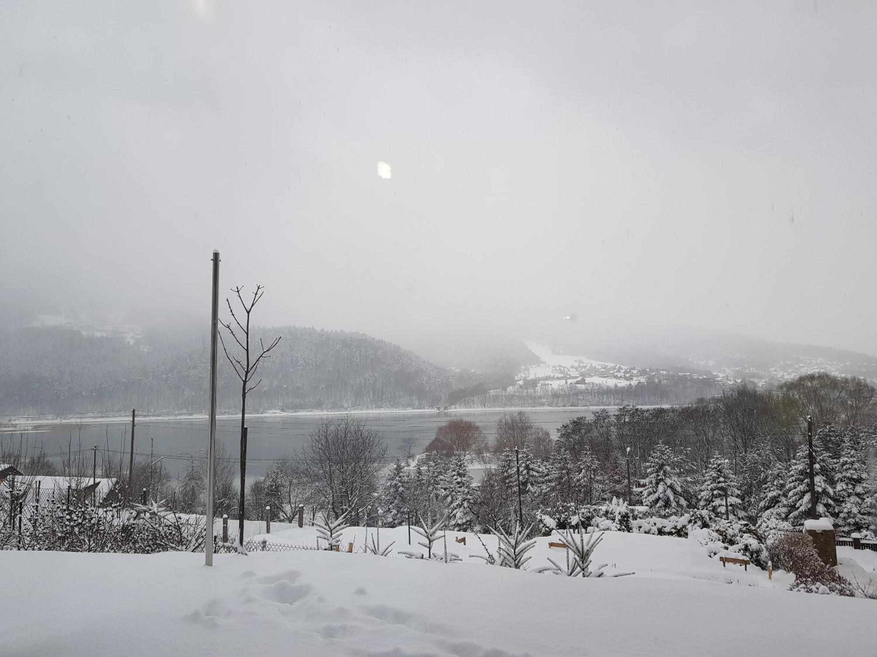 Photo 40
