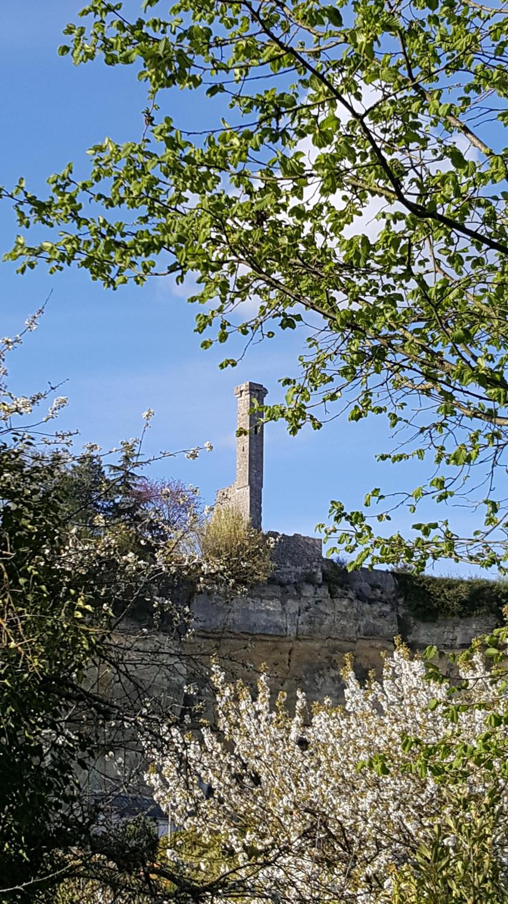 Photo 18