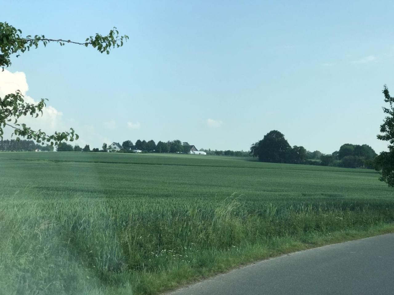 Ruheparadies Im Windfeld