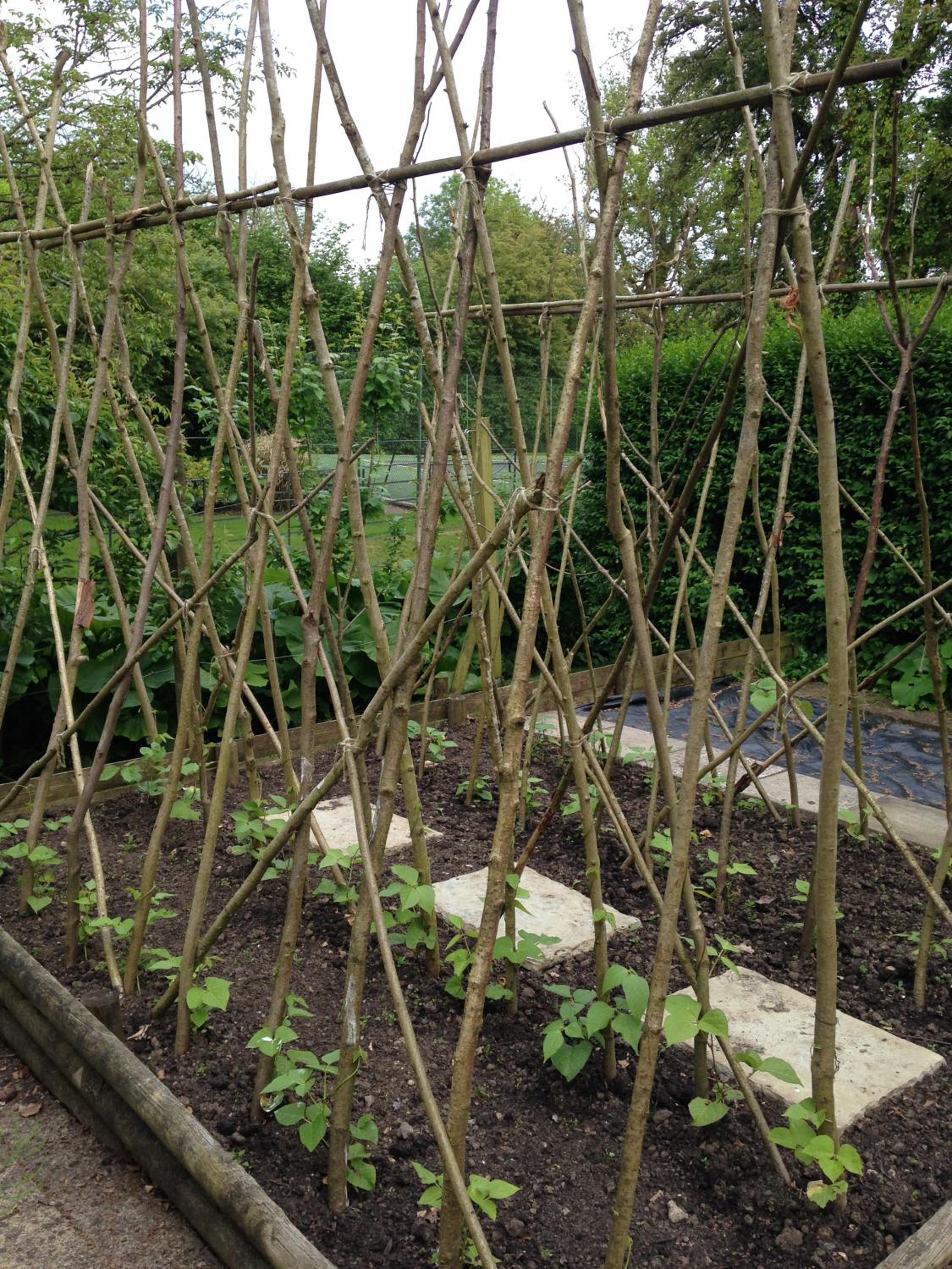 Photo 43