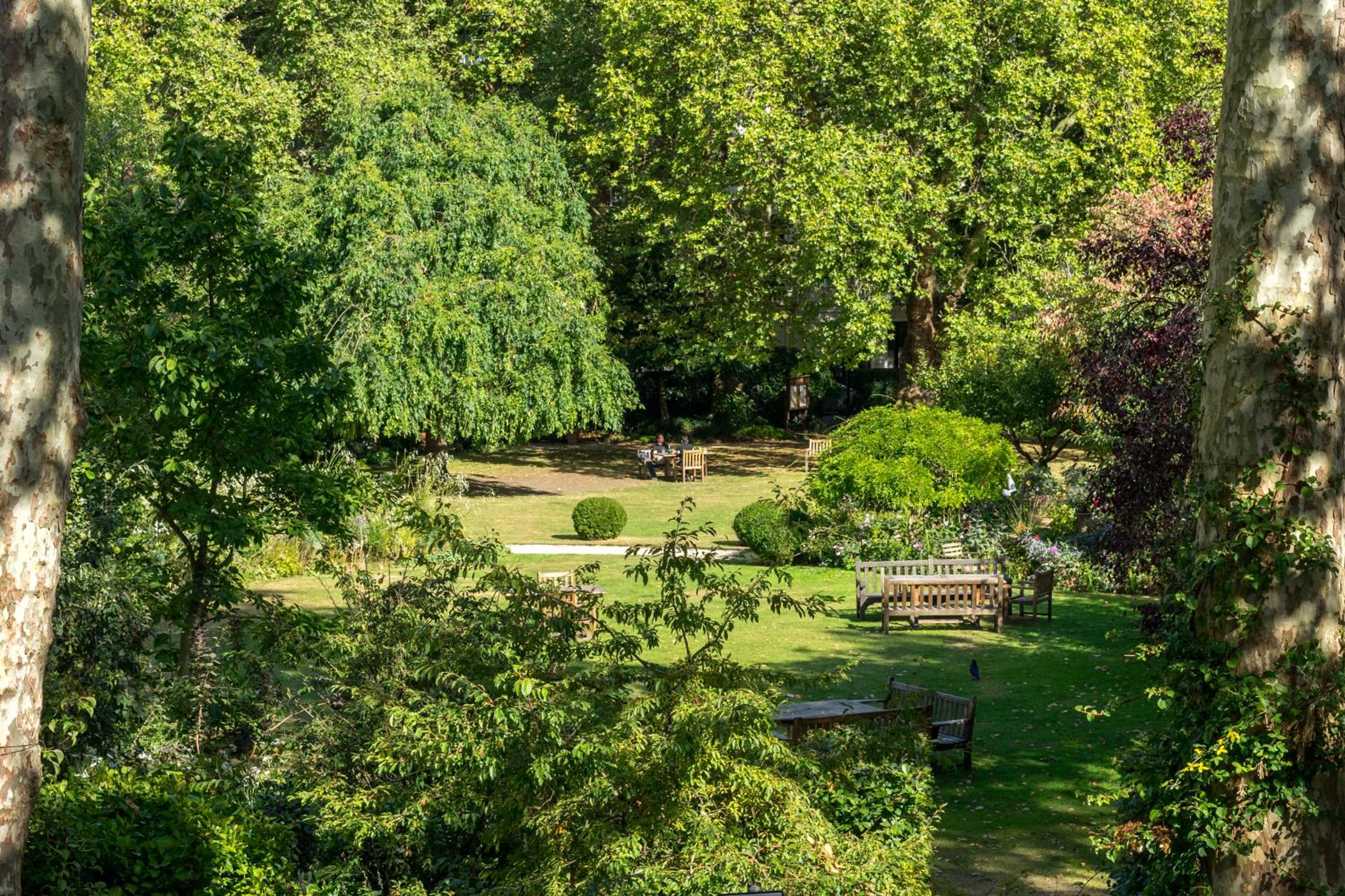 JOIVY Sunny 1-bed flat with terrace in Bayswater, near Paddington