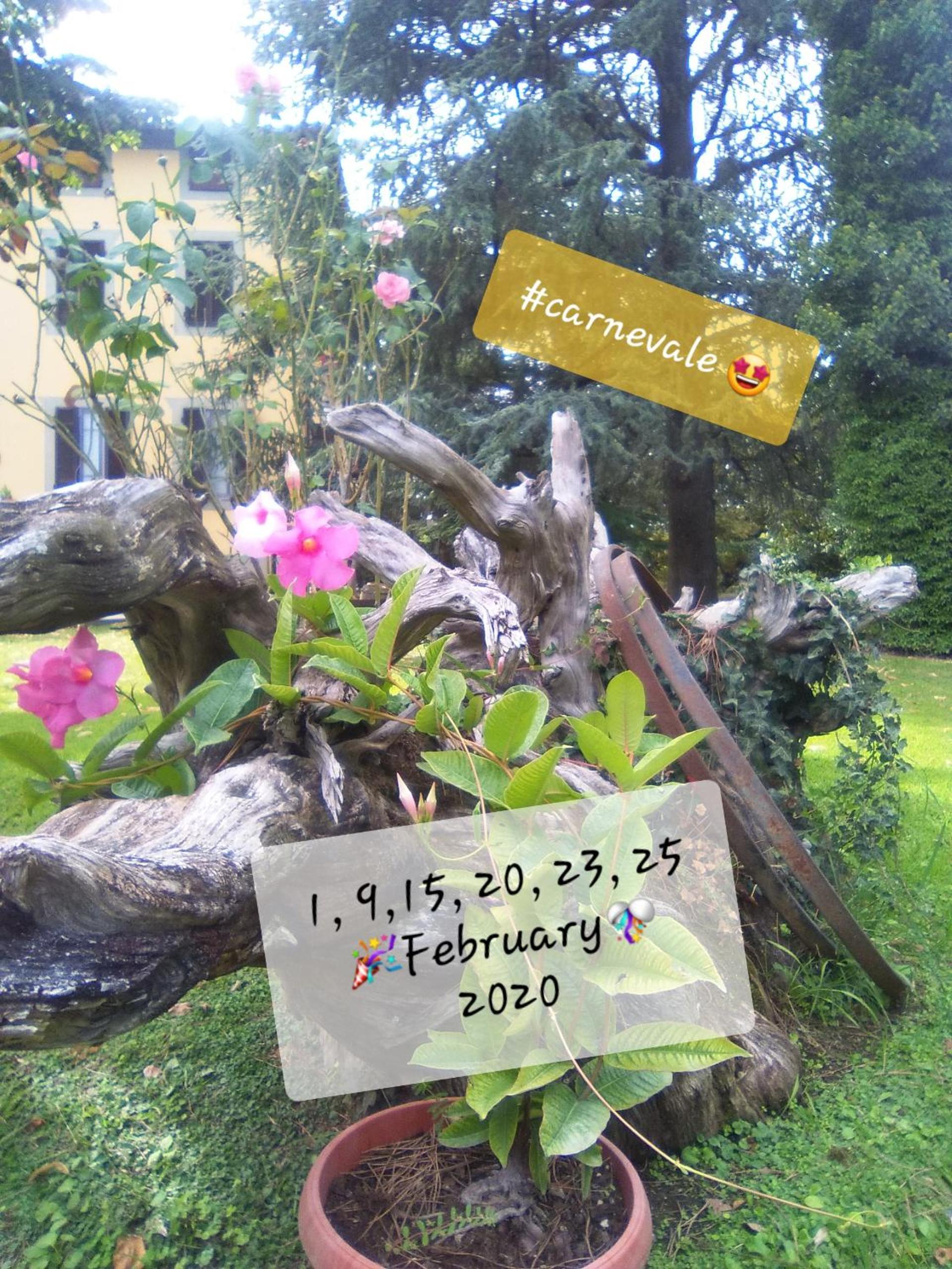 Villa Belvedere Fiorella view 5