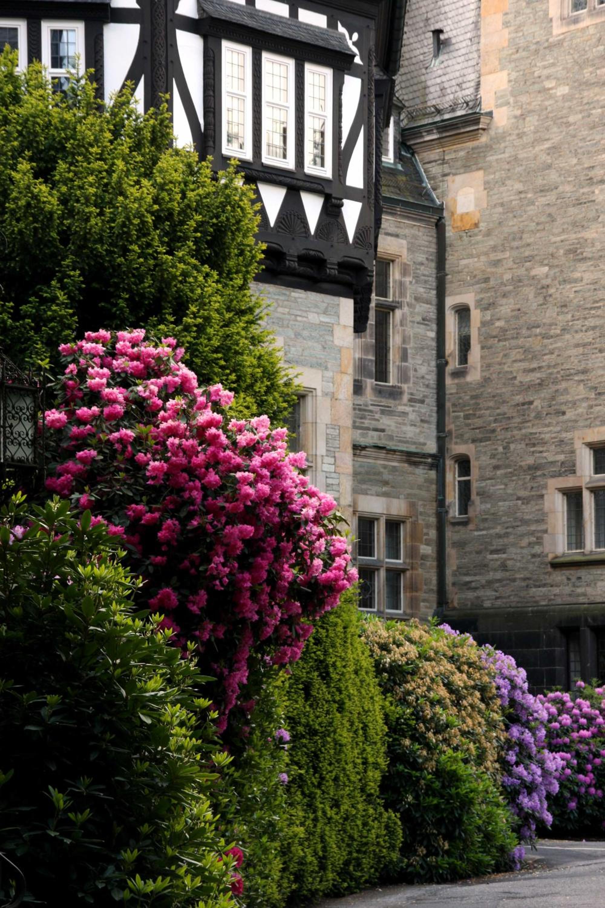 Schlosshotel Kronberg - Hotel Frankfurt - Property Image 8