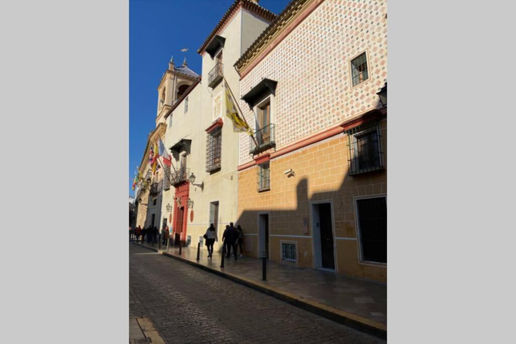 APARTAMENTOS SANTA CRUZ, centro view 2
