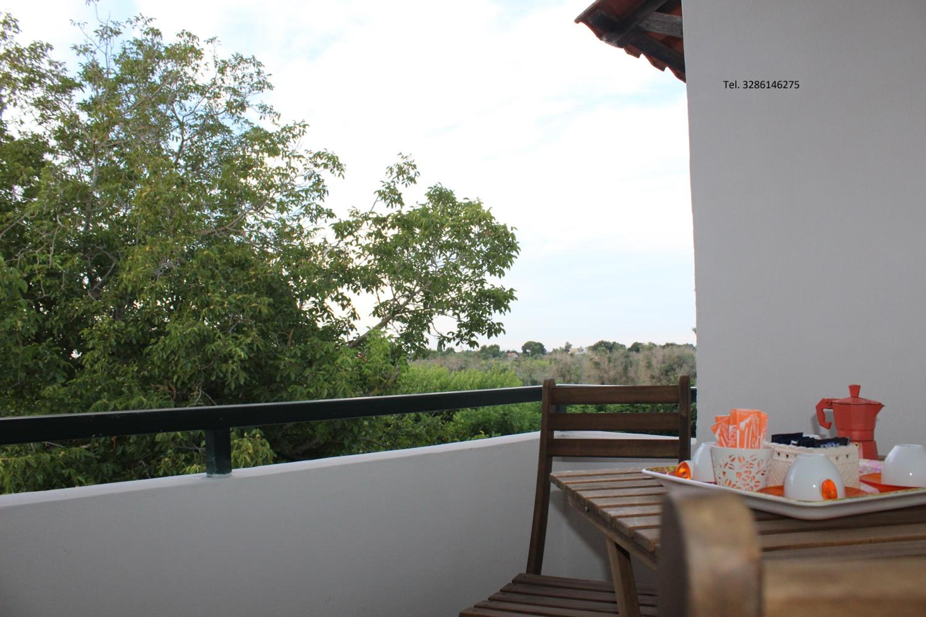 Casa vacanze il Noce view 4
