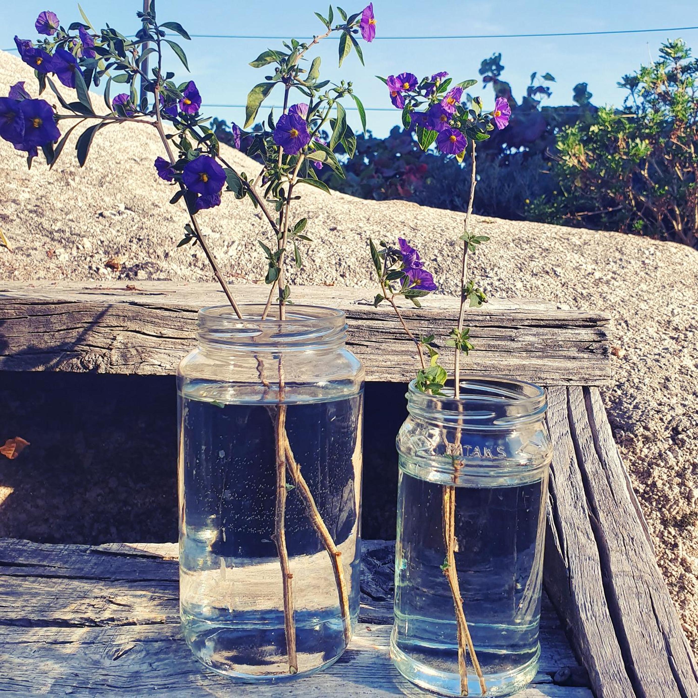 Casa do Fundo - Sustainable & Ecotourism