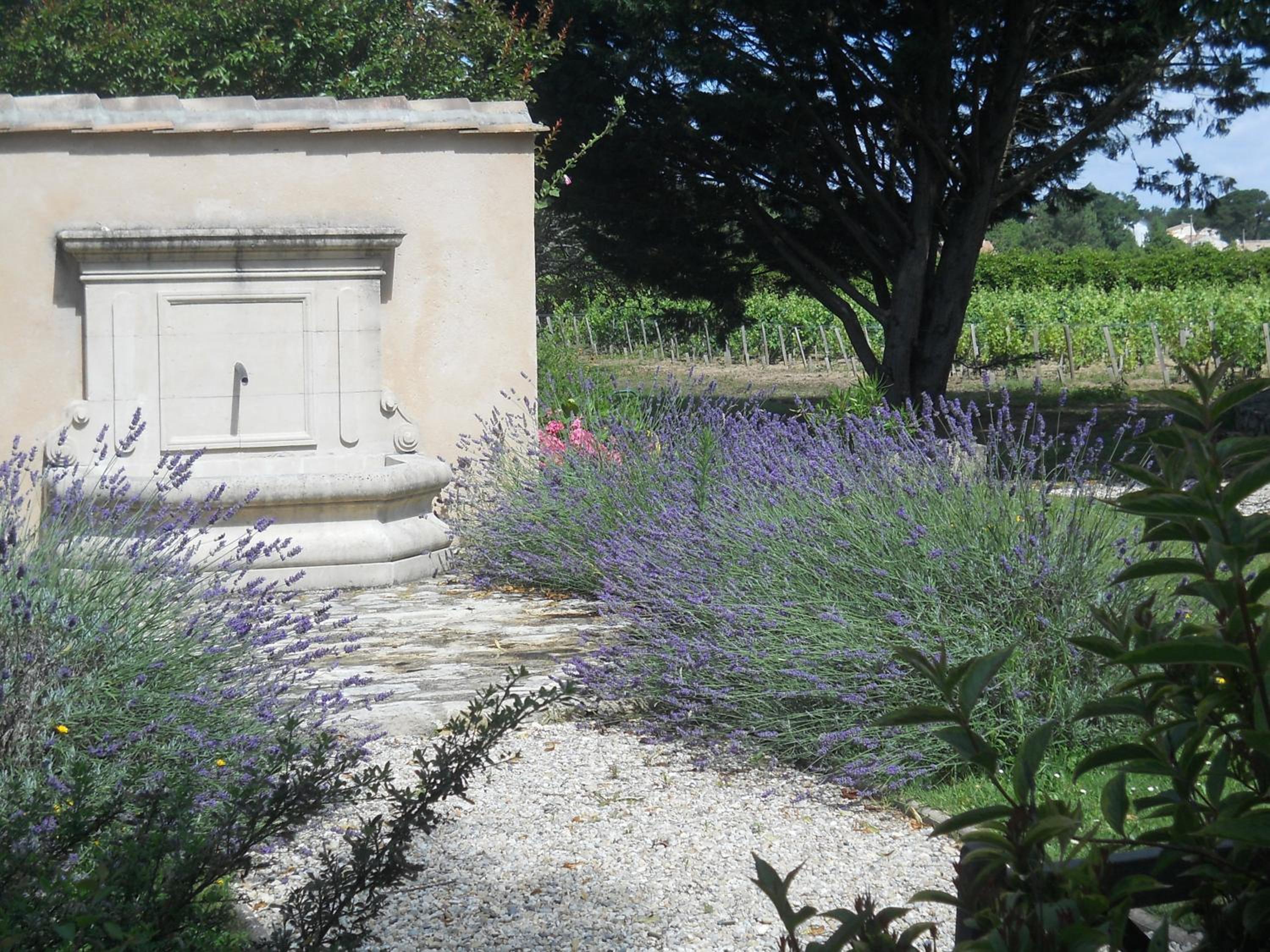 Château La Gravière