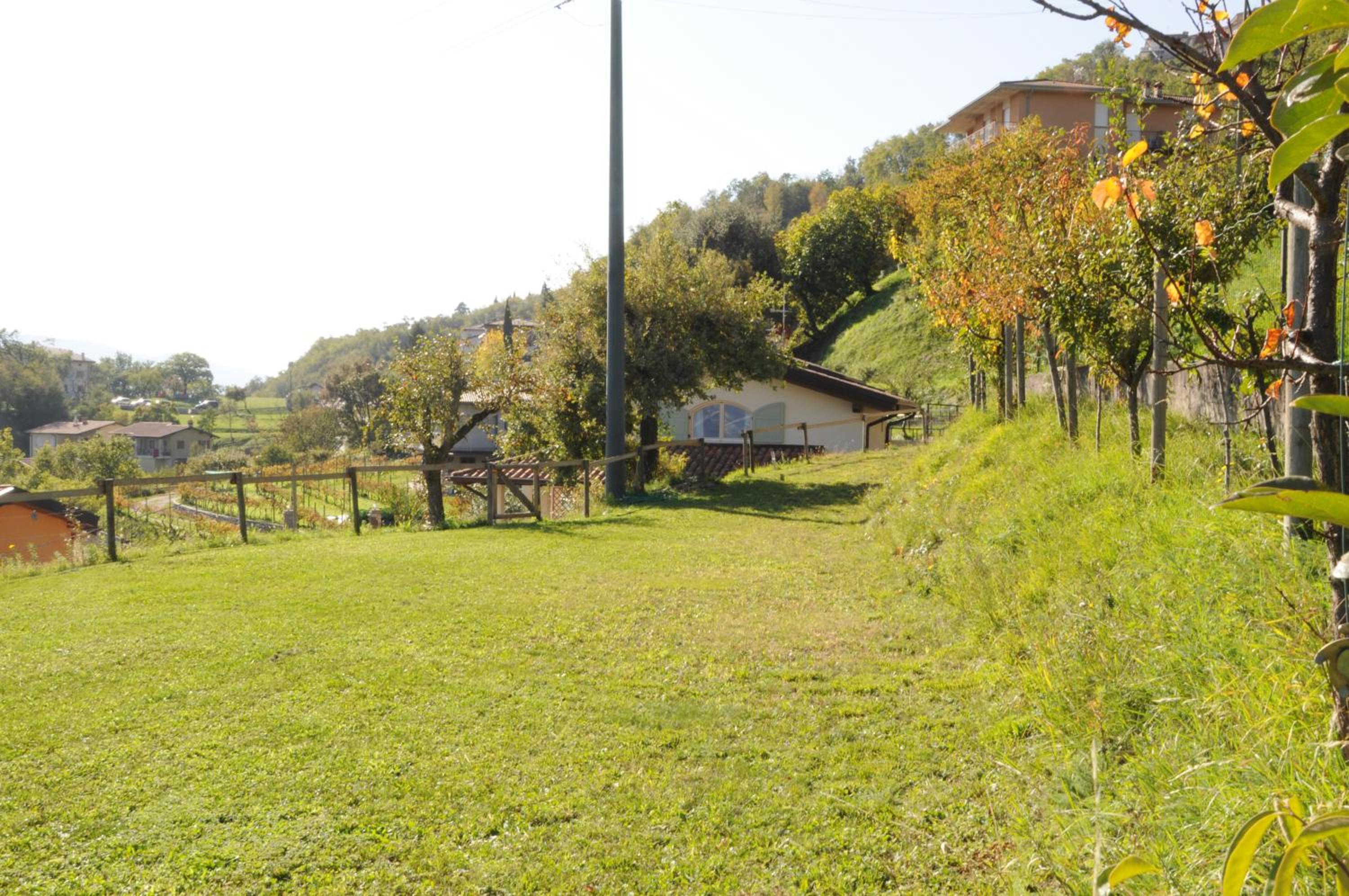 Photo 31