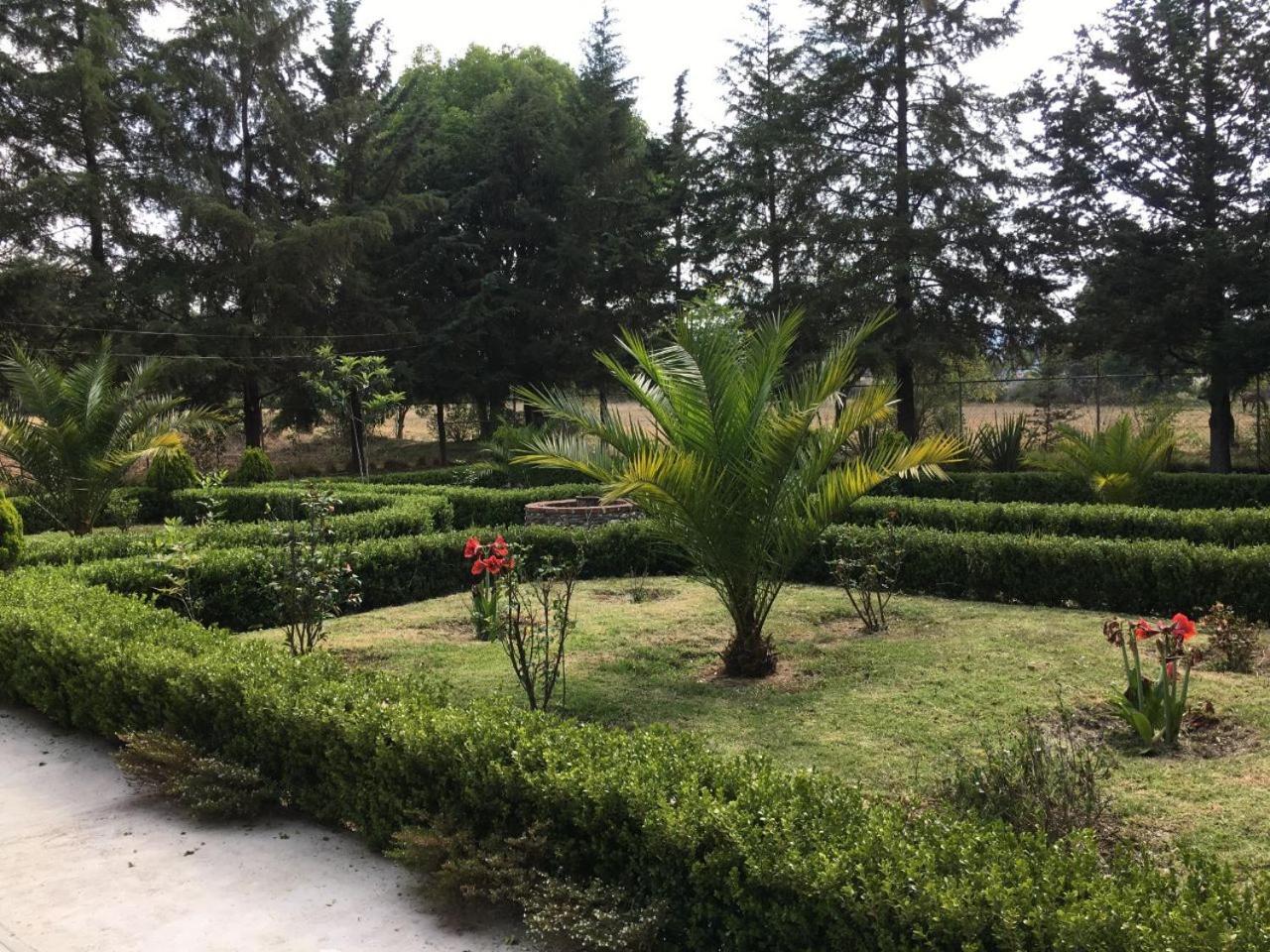 Photo 47