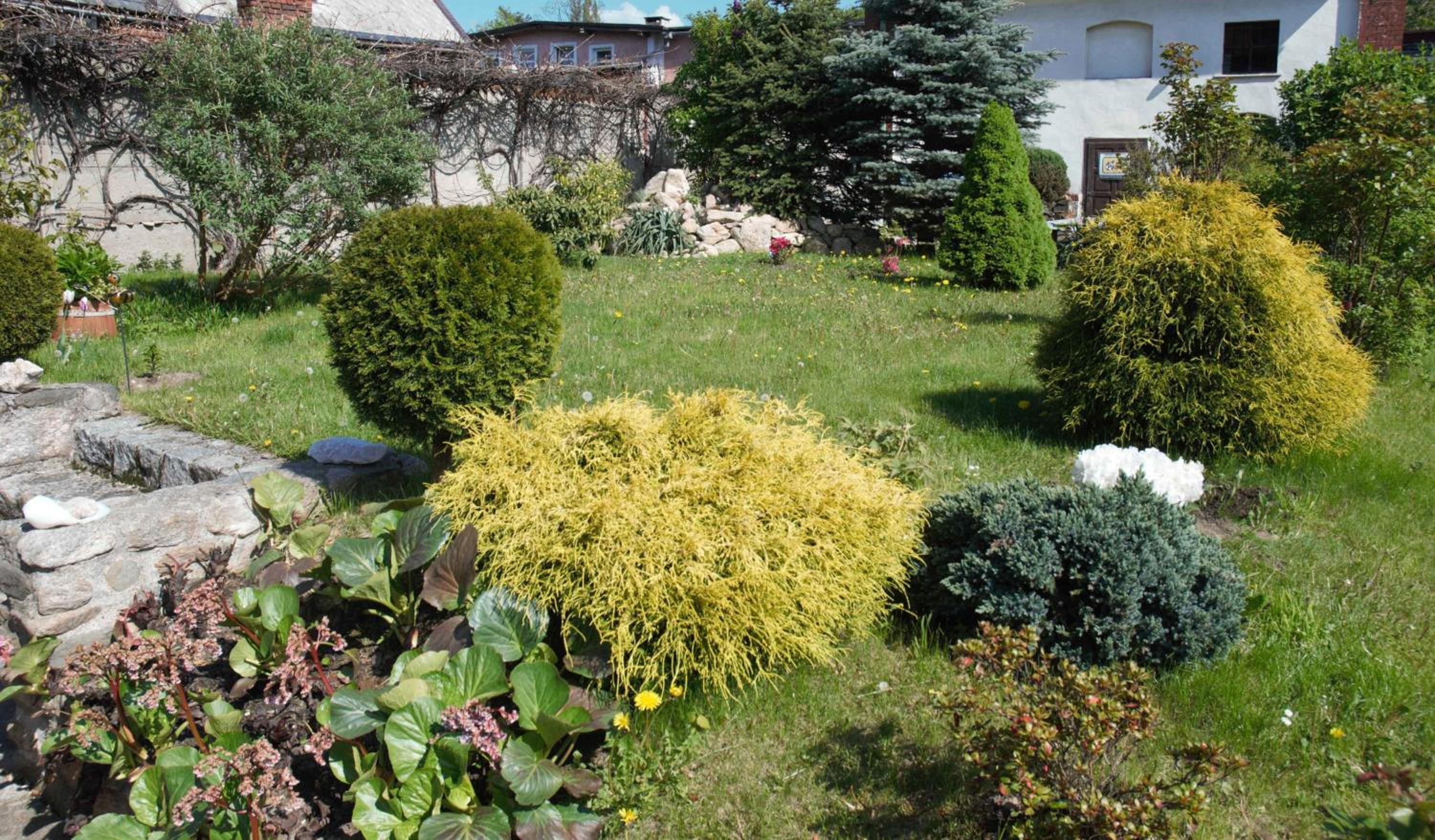 Photo 11
