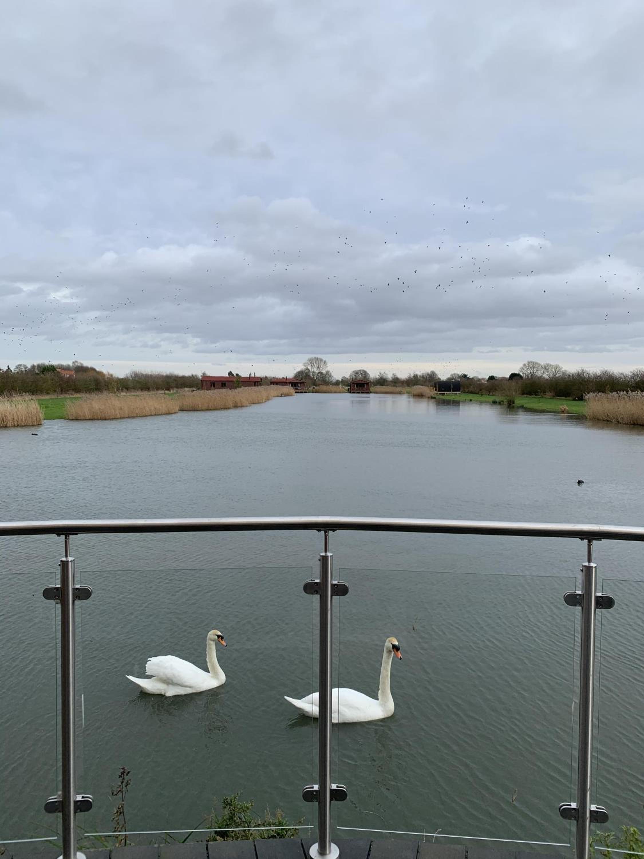 Lakeside Fishing Lodges