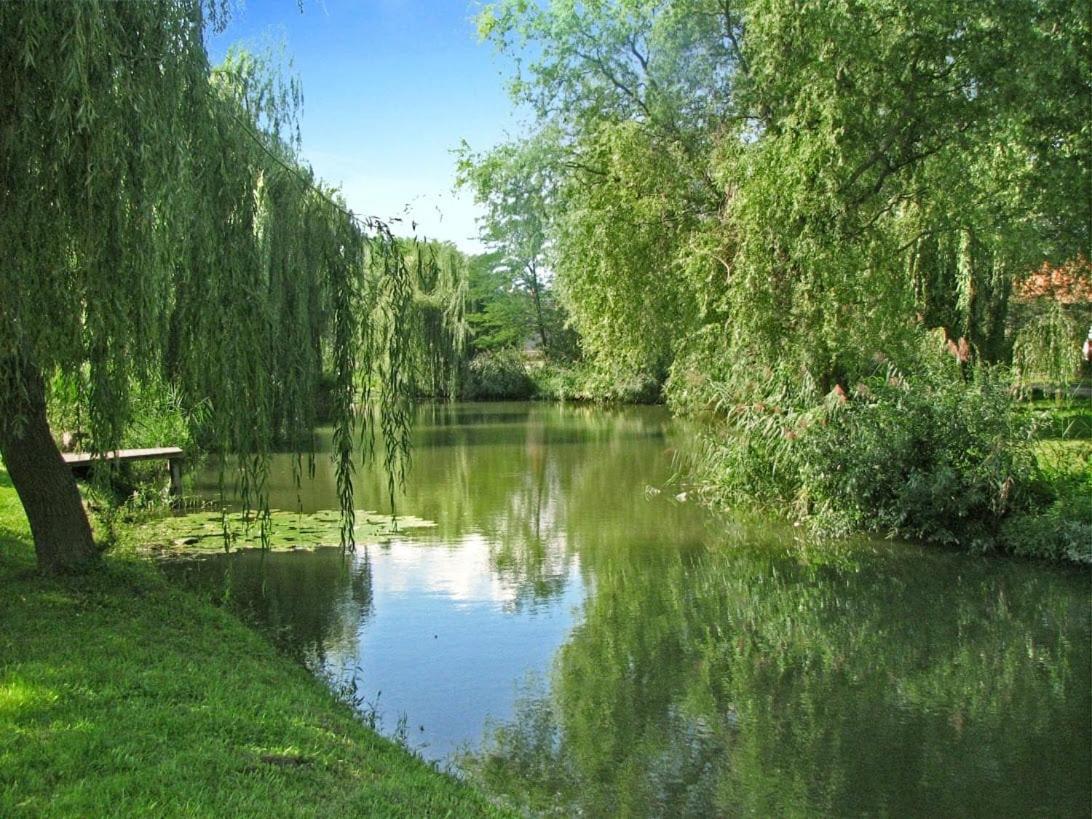 Photo 48