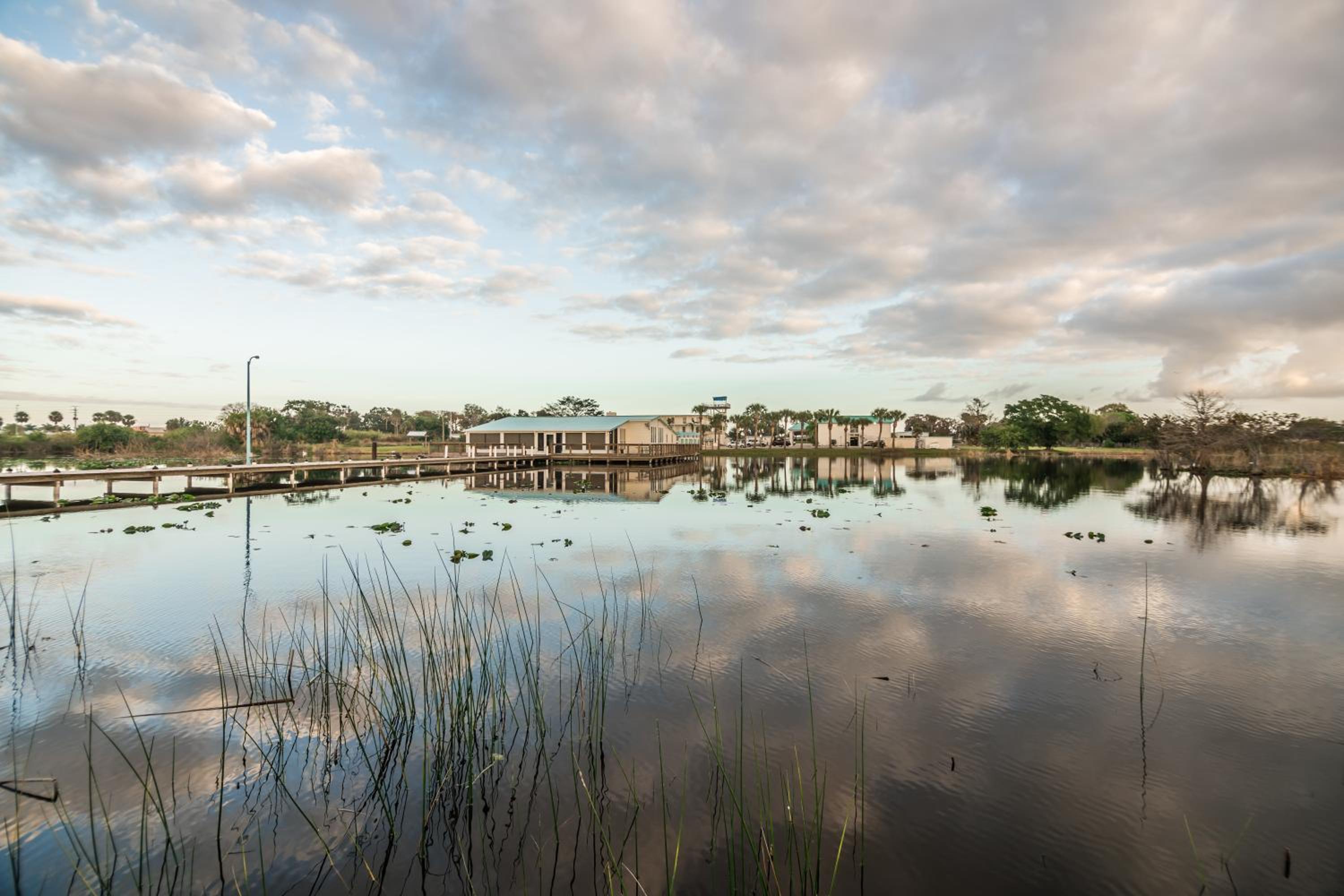 Lakeshore Resort and Marina view 5