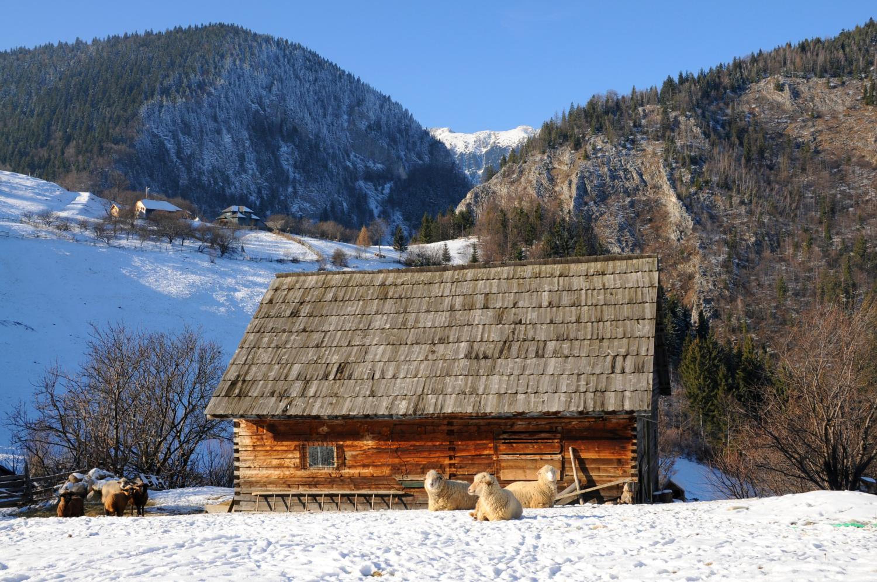 Photo 45