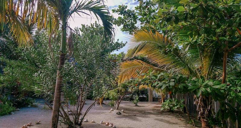 The Tranquila Caye- Gold Standard Certified