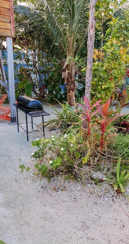 The Tranquila Caye- Gold Standard Certified