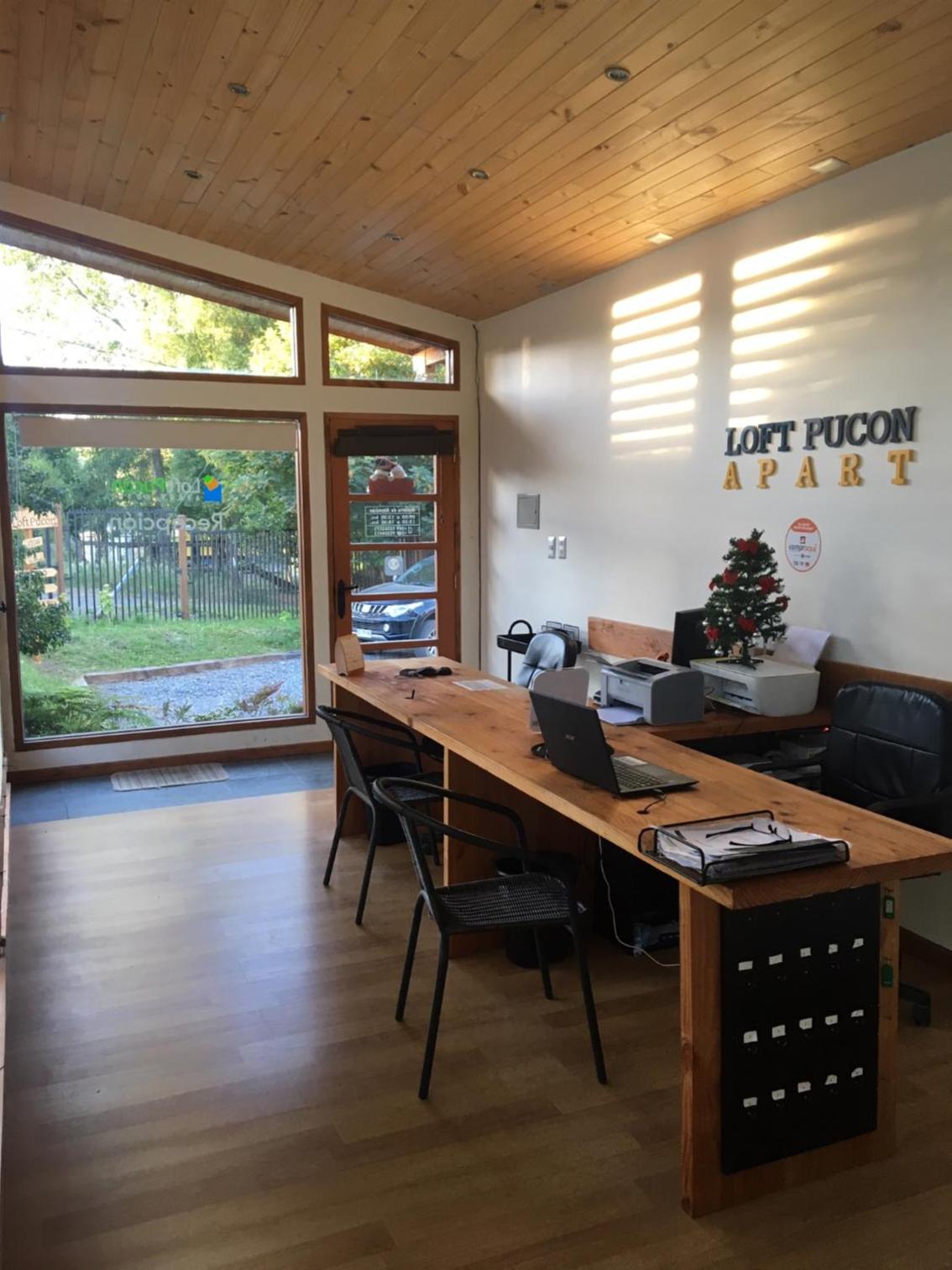 Loft Pucon, photo 16