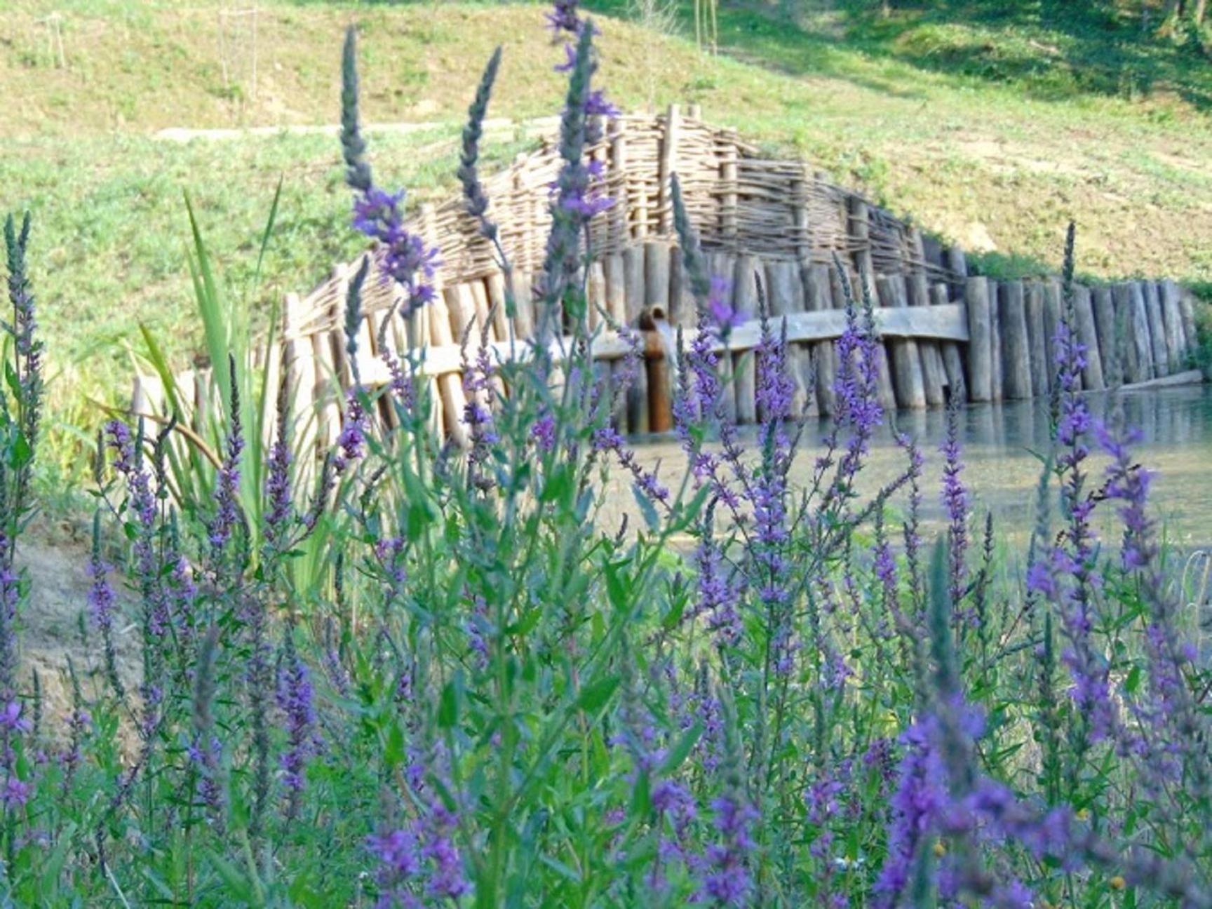 ÉDEN PARK VÍZVÁR view 2