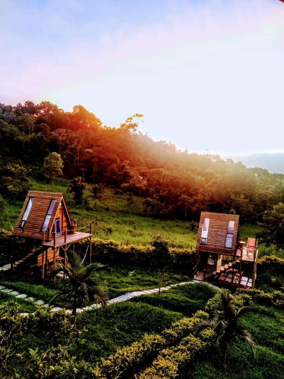 VILLA DE LOS ANGELES GLAMPING