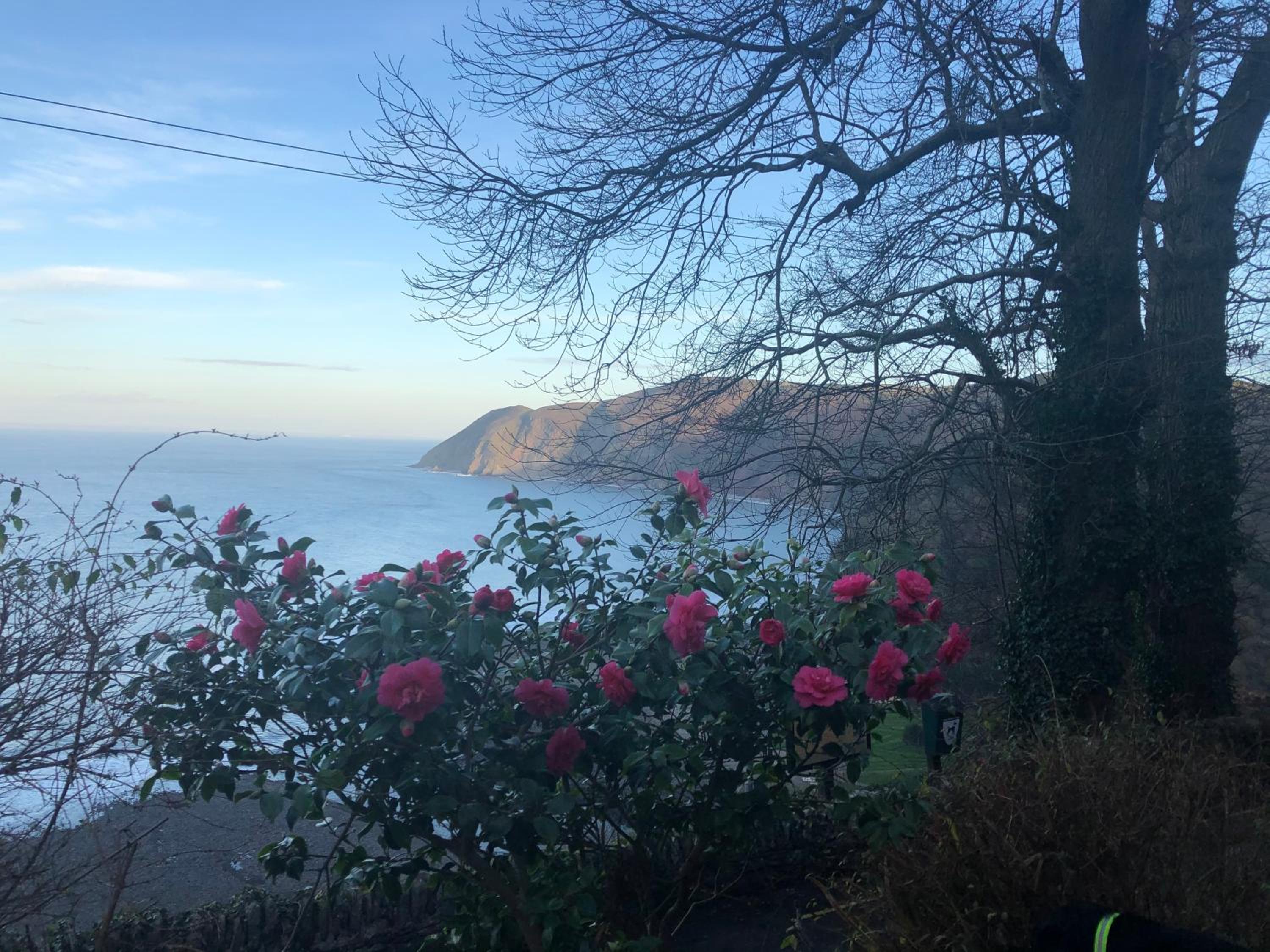 Lynton Vacations - The North Cliff Hotel - Property Image 16