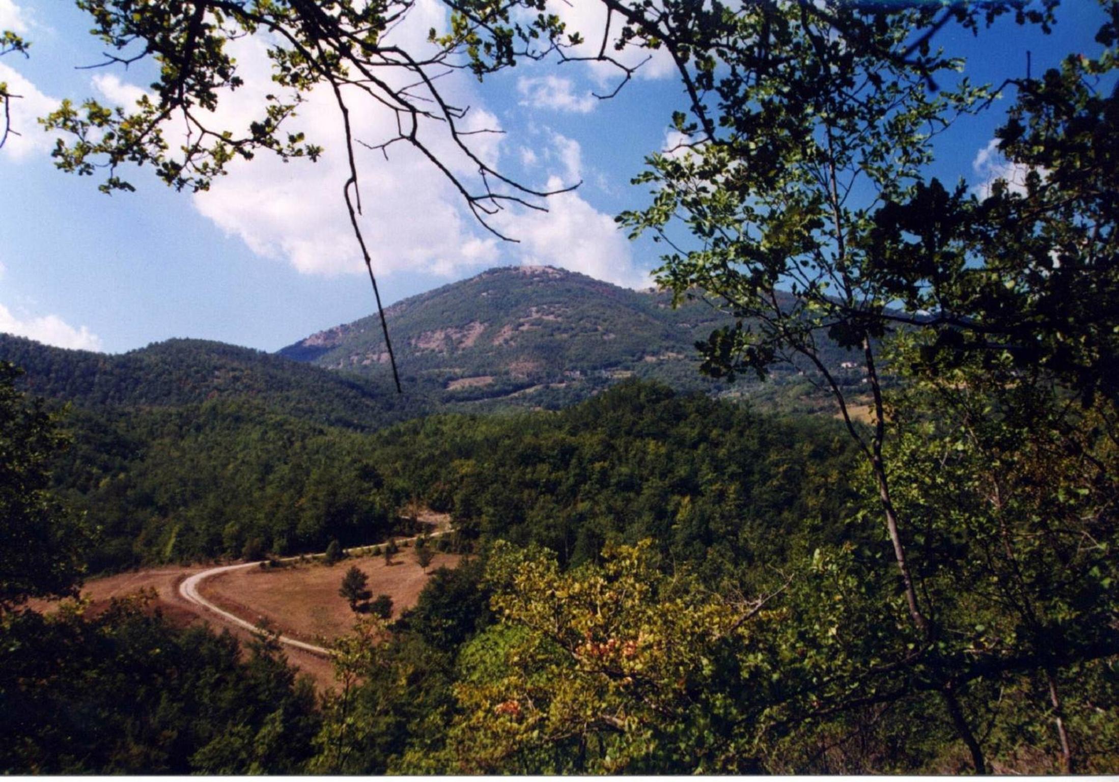 Agriturismo Monte Acuto