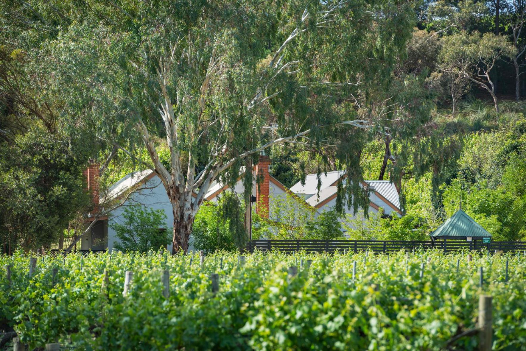 McLaren Vale Getaways