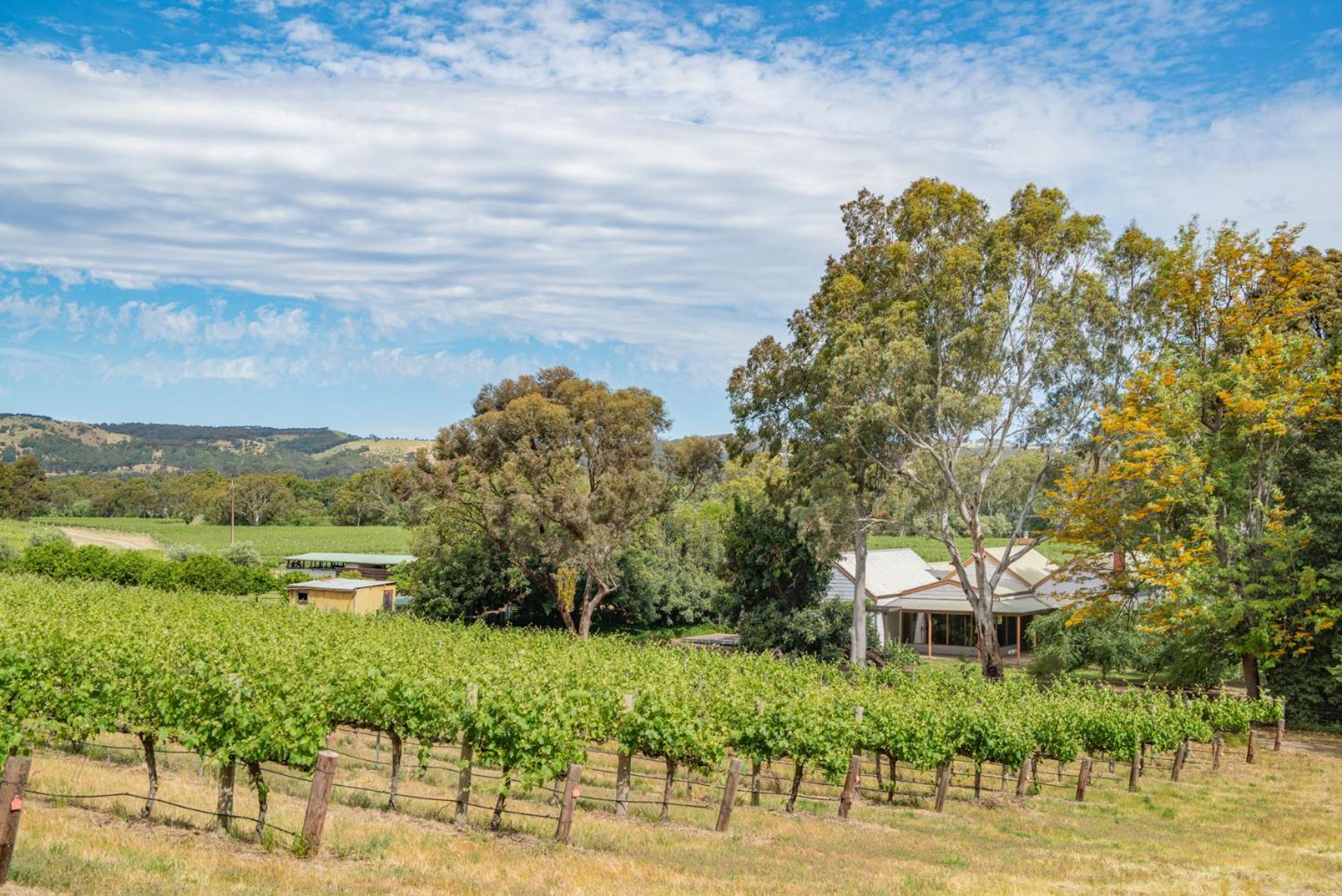 McLaren Vale Getaways