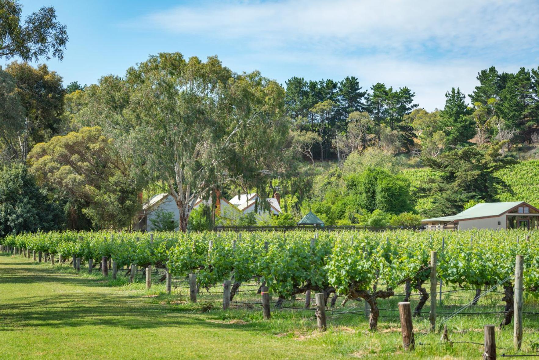 McLaren Vale Getaways