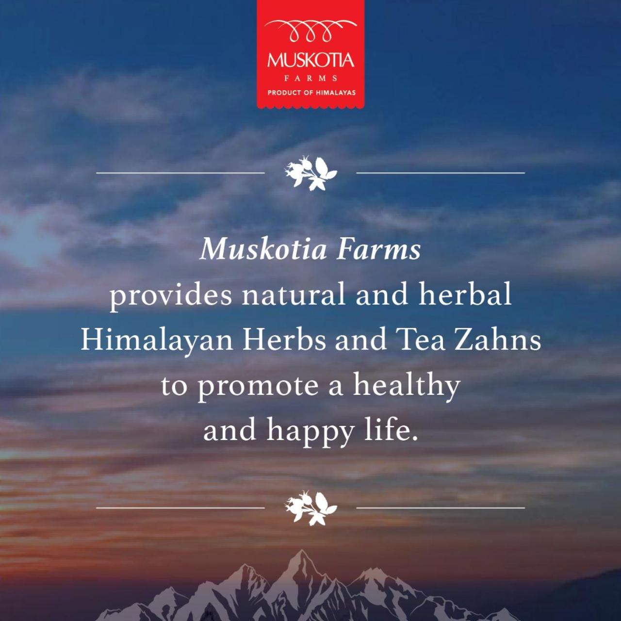 MUSKOTIA Independent Cottages