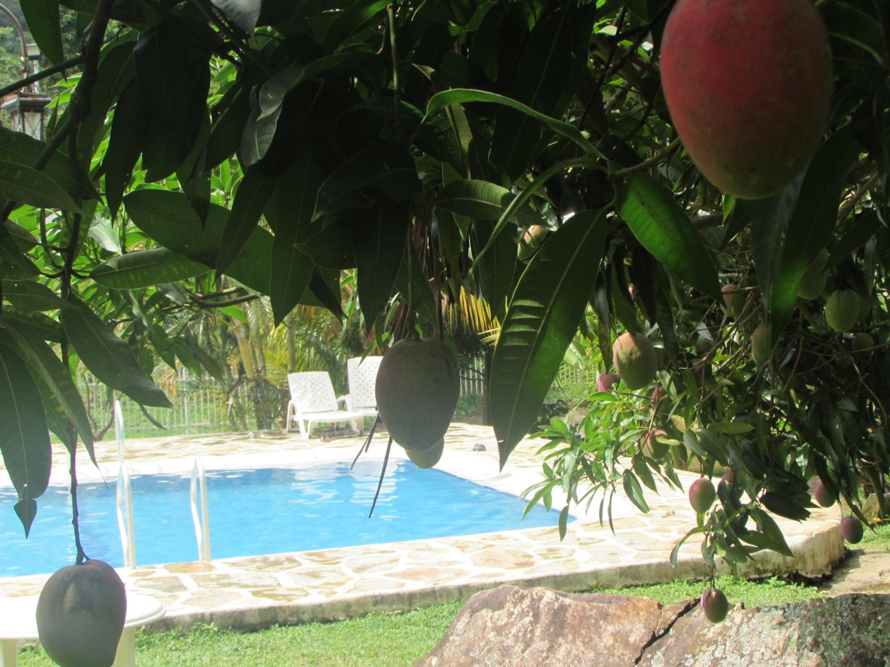 Finca Turística Santa Bárbara