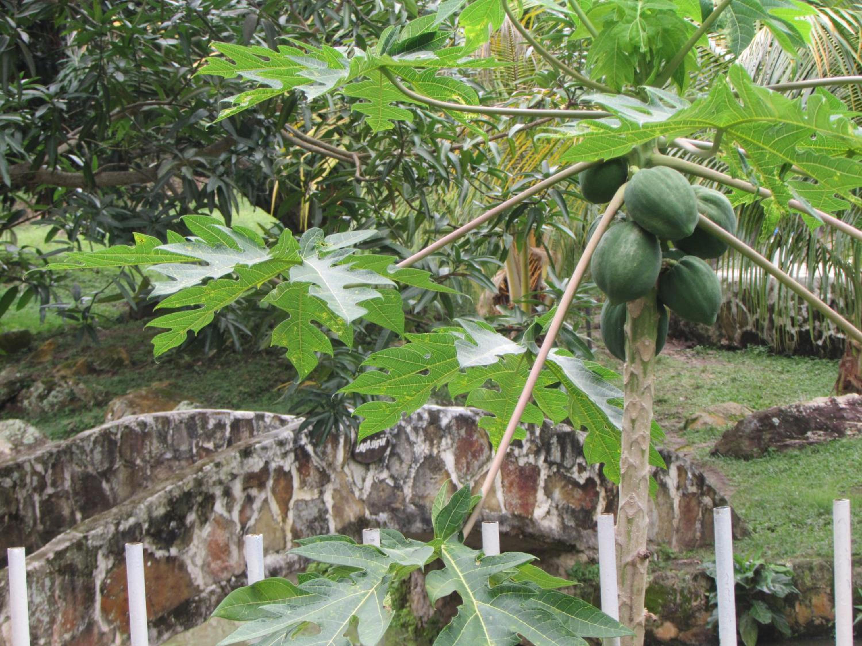 Finca Turística Santa Bárbara