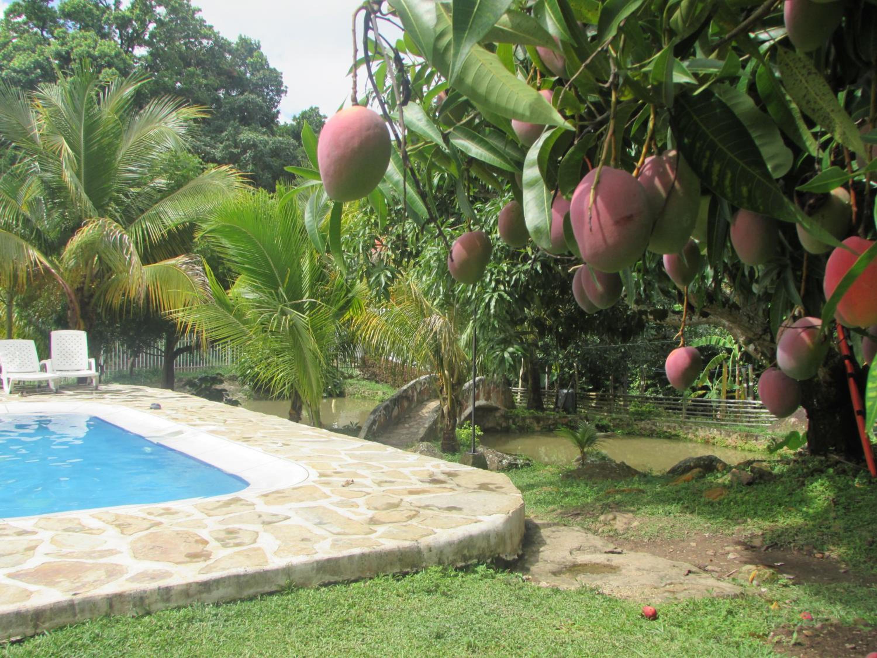 Finca Turística Santa Bárbara