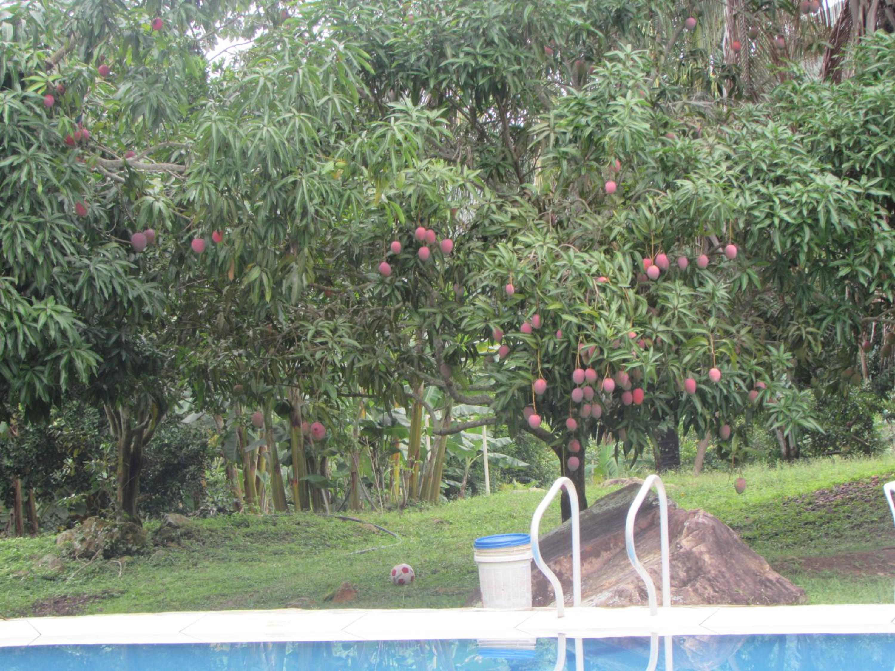 Finca Turística Santa Bárbara