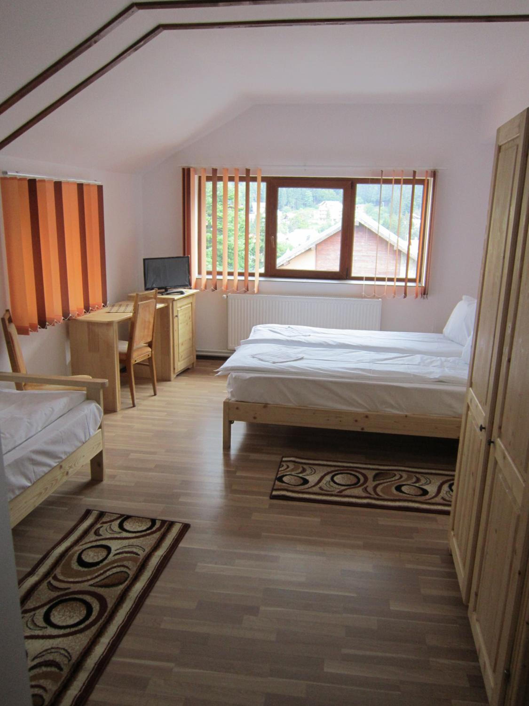 Pensiunea Casa Maria view 4