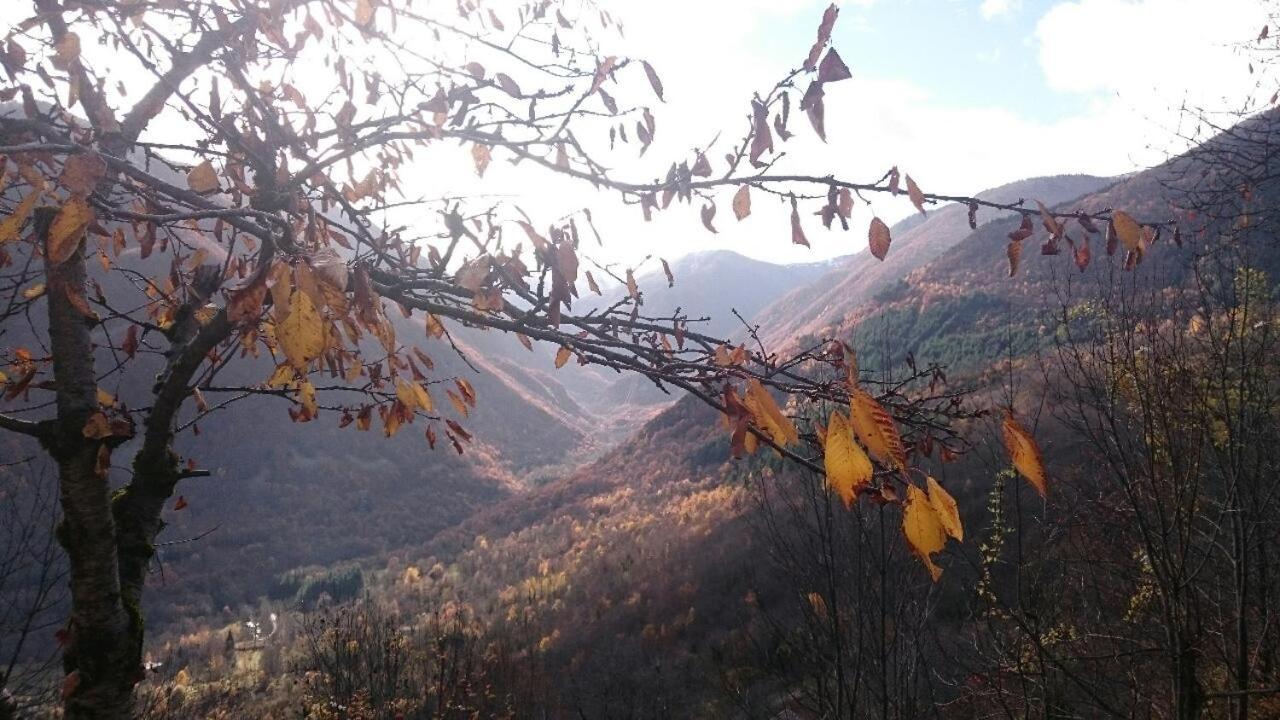 Le Chalet de Larcat view 2