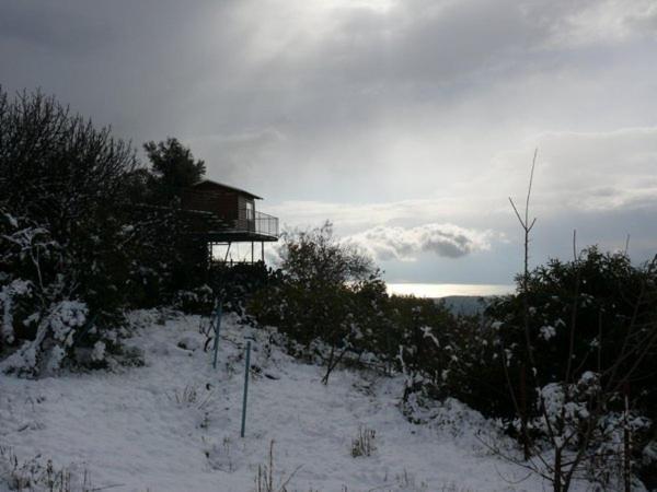 Photo 31