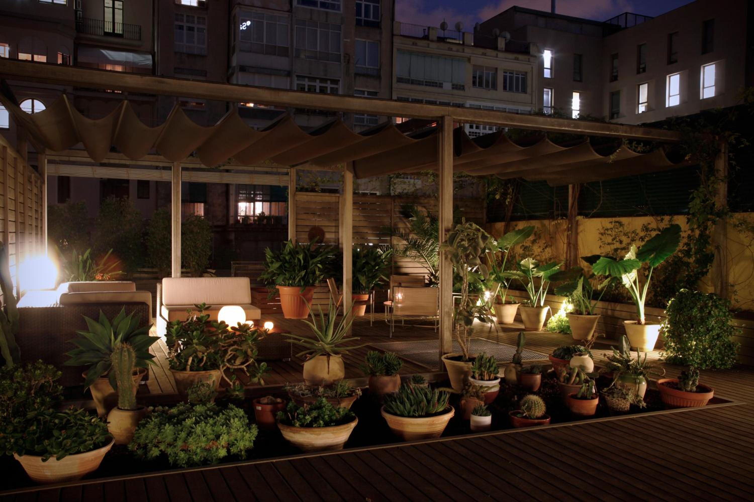 roof