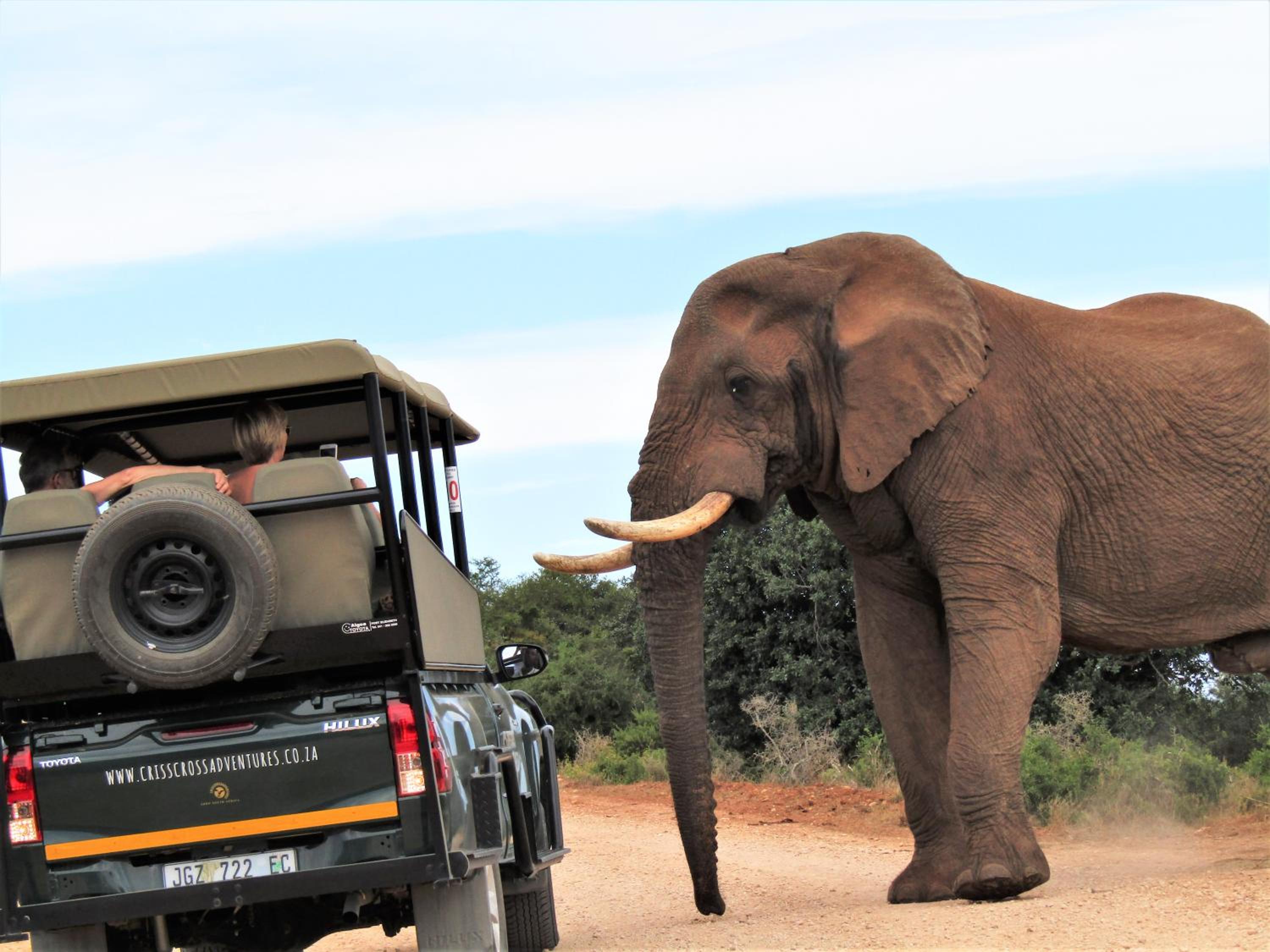Chrislin African Lodge