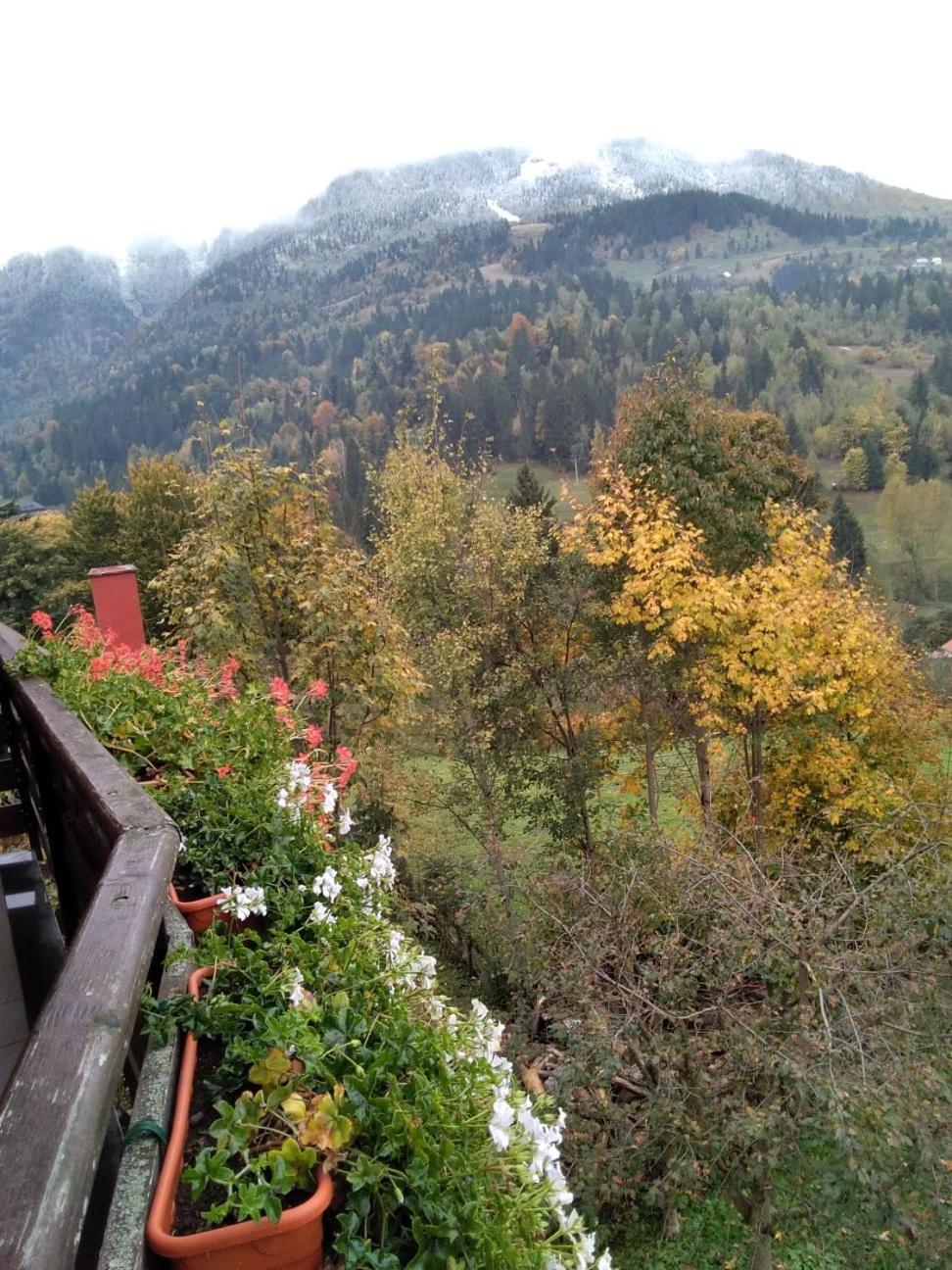 Pensiunea Nordica view 2