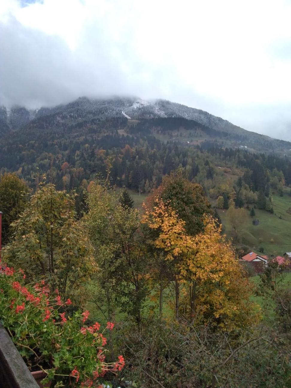 Pensiunea Nordica view 3