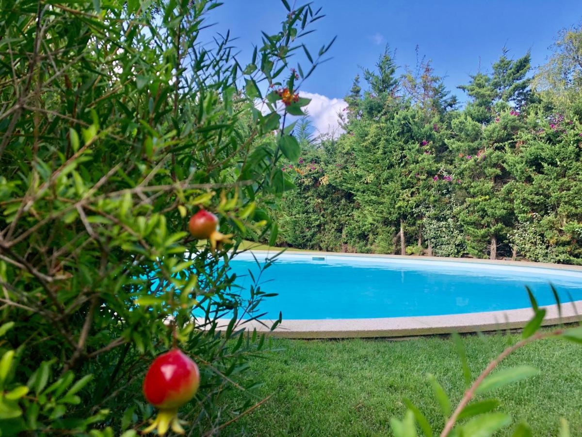 Villa Abbaiola By KlabHouse photo 2