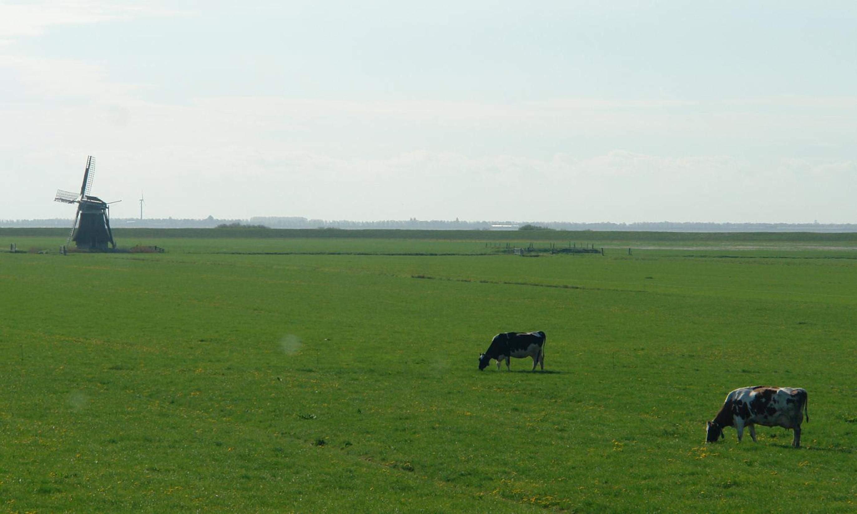 Photo 50