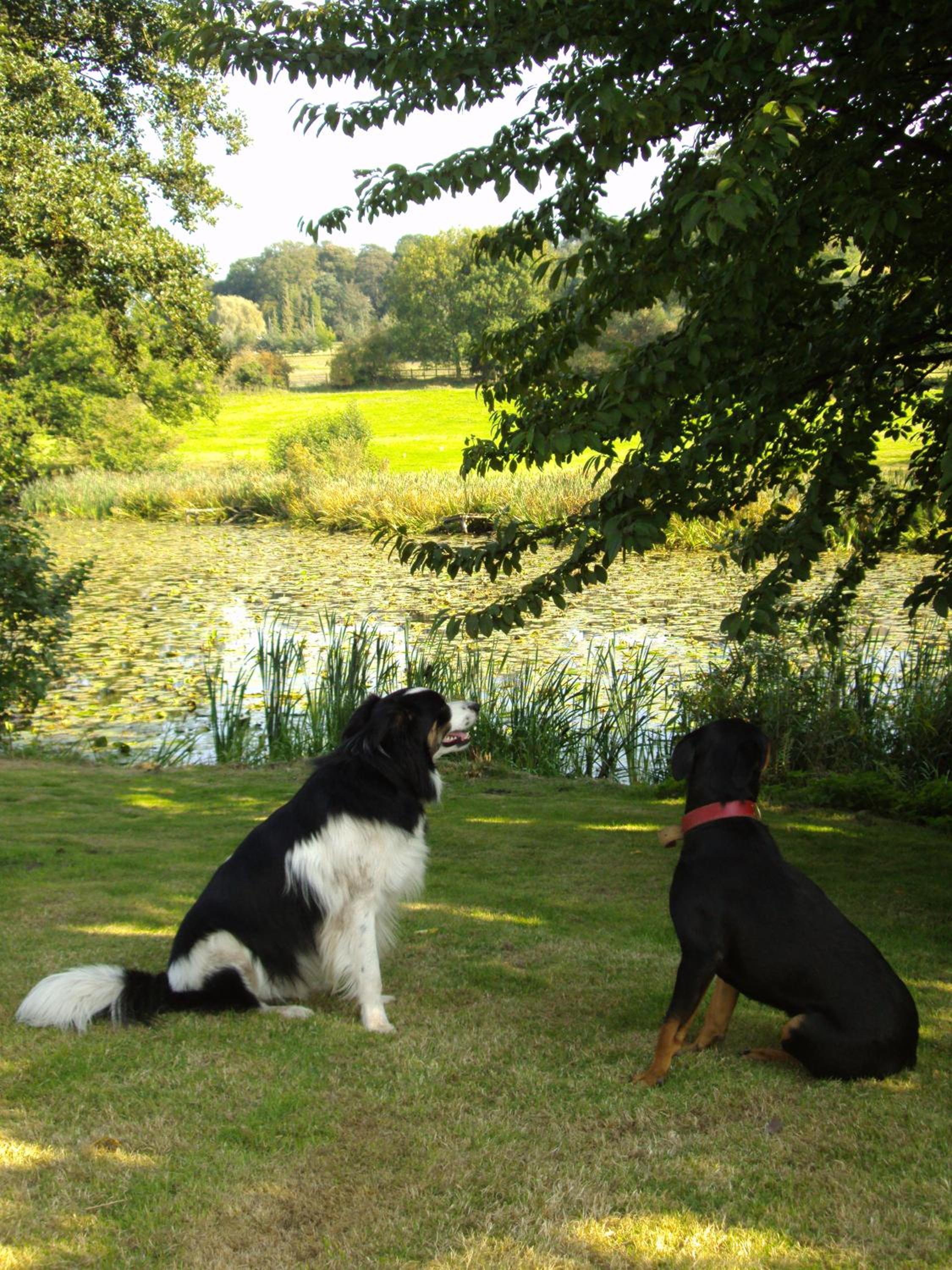 Abbey Farm Bed And Breakfast