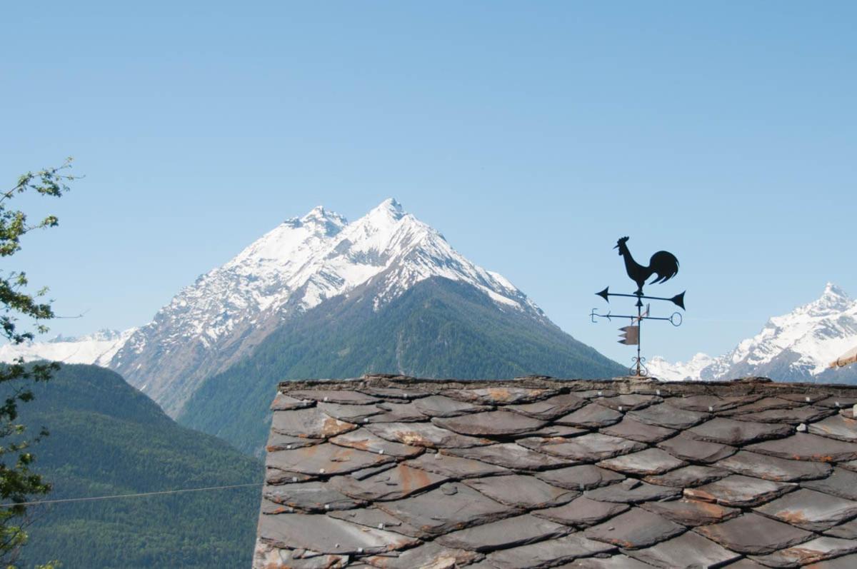 La Cascina d'Orleans view 4