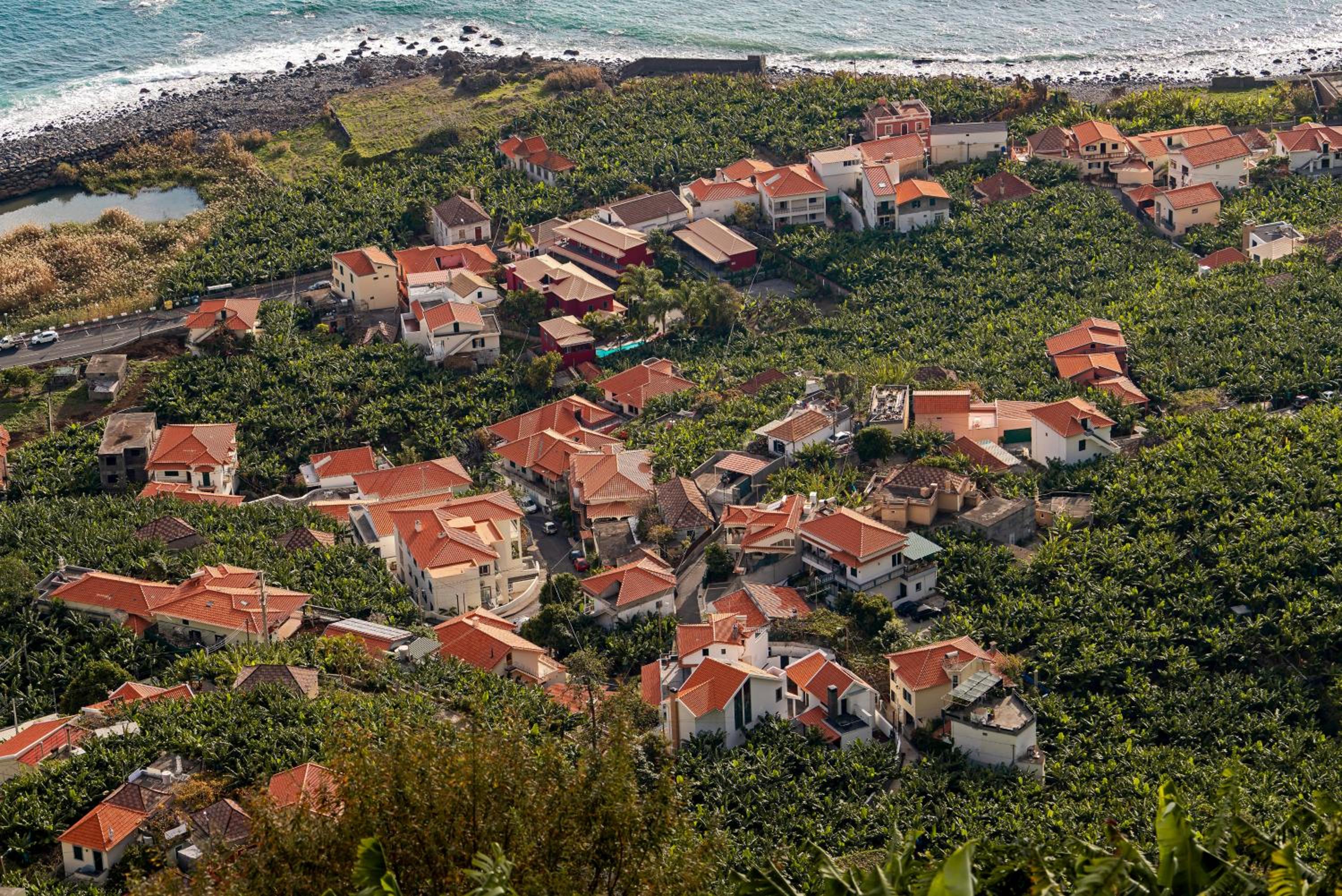 Oscar's House by An Island Apart view 5