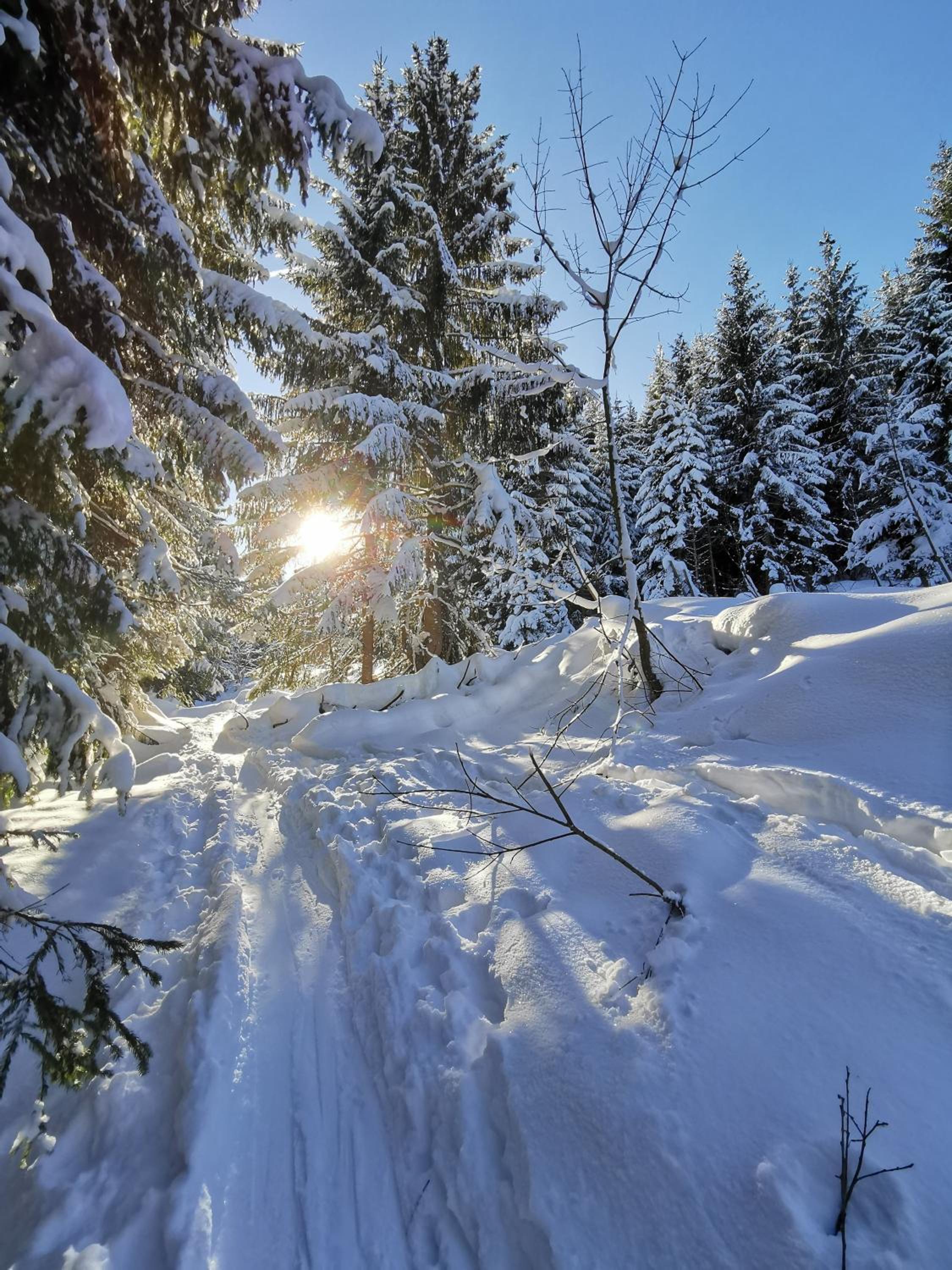 Pension Haus in der Sonne