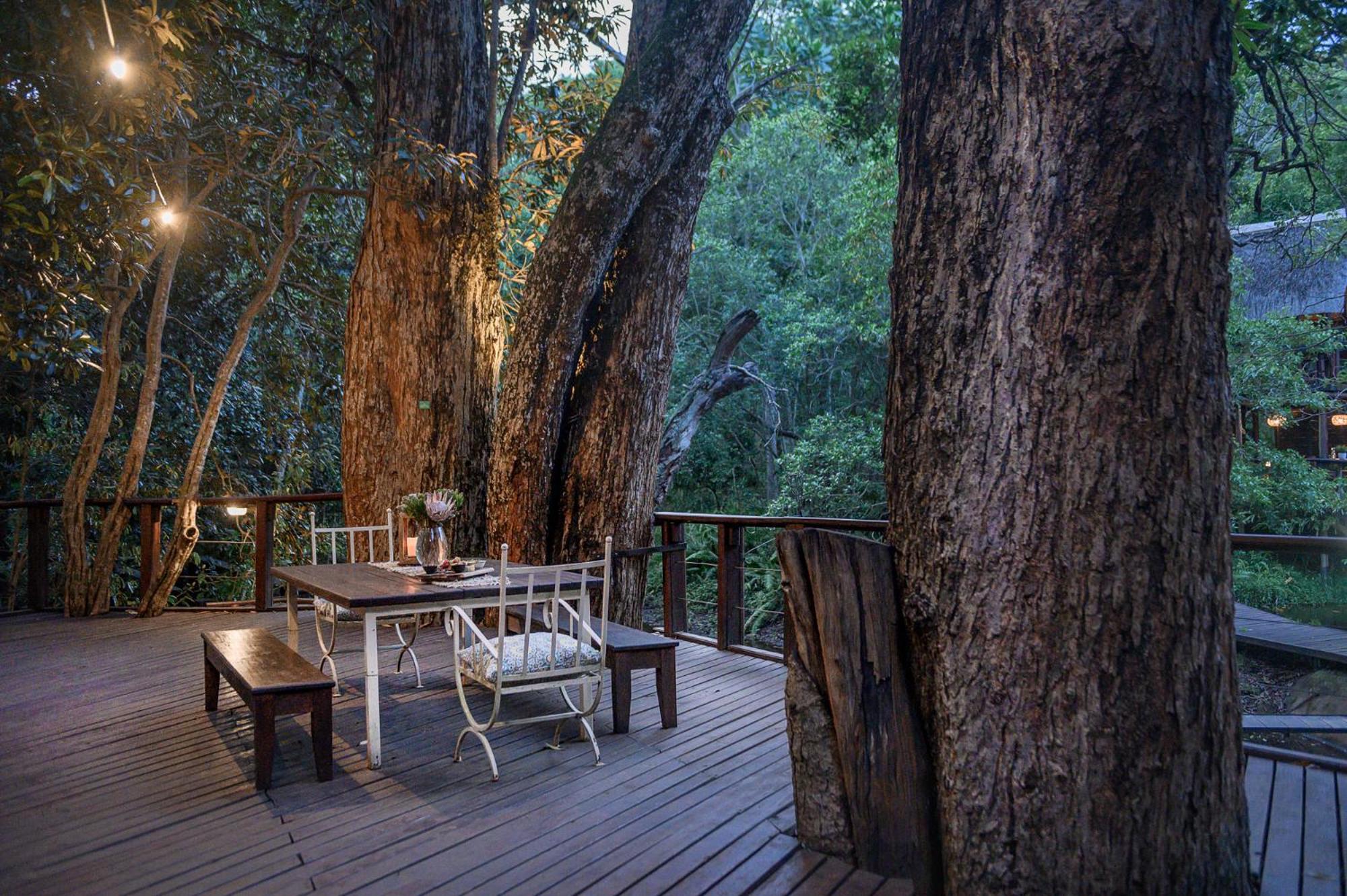 Serenity Mountain and Forest Lodge