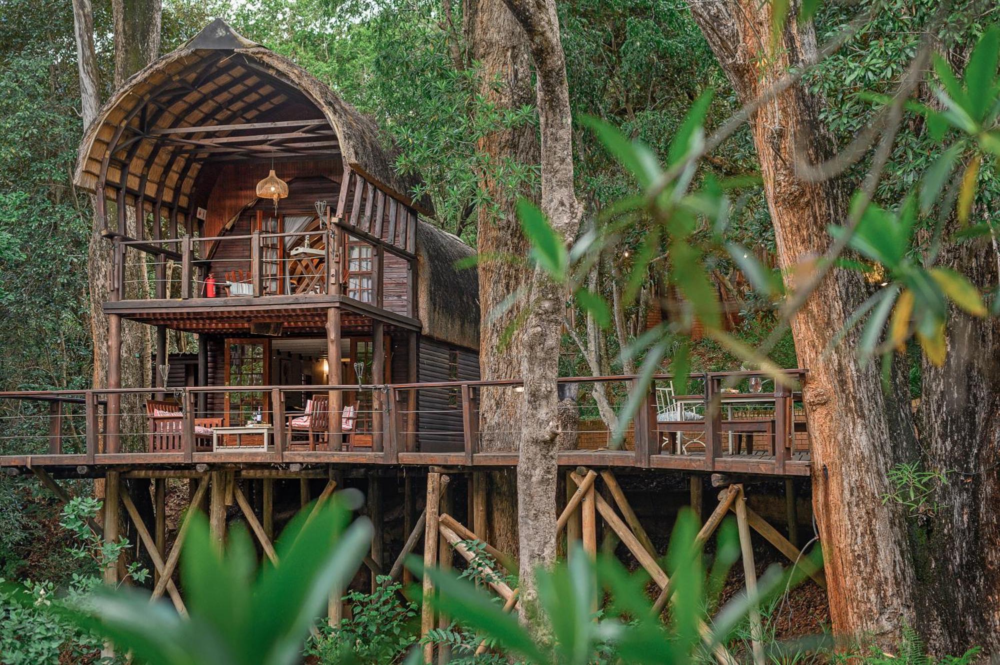 Serenity Mountain and Forest Lodge