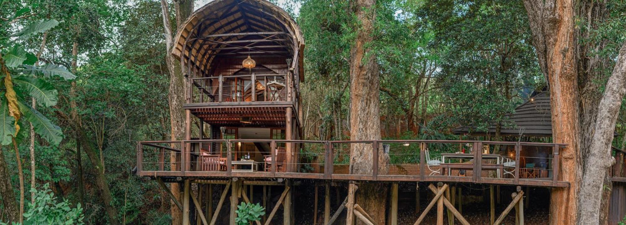 Serenity Mountain and Forest Lodge